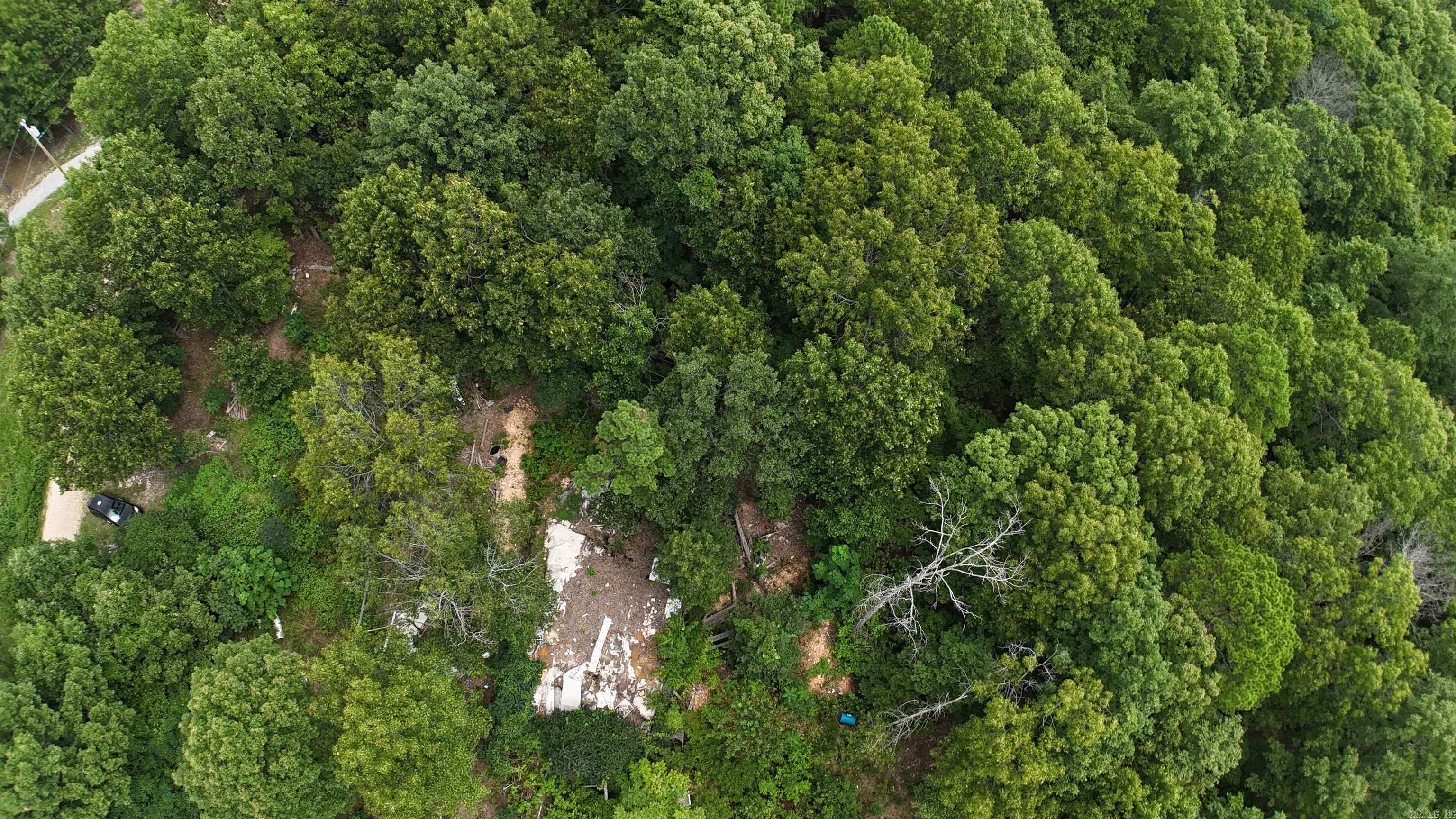 1267 Brushy Fork Property Photo 6