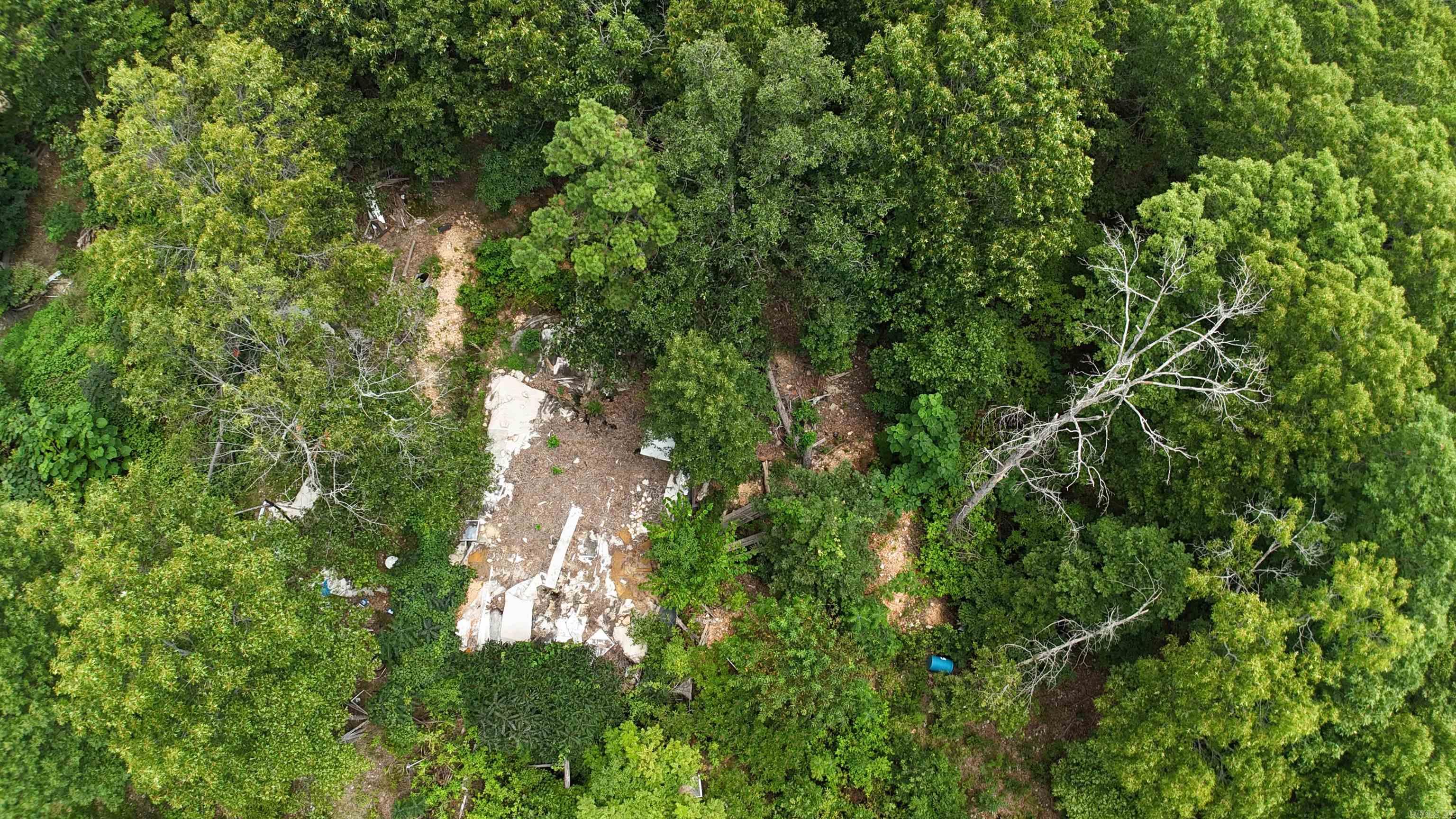 1267 Brushy Fork Property Photo 7