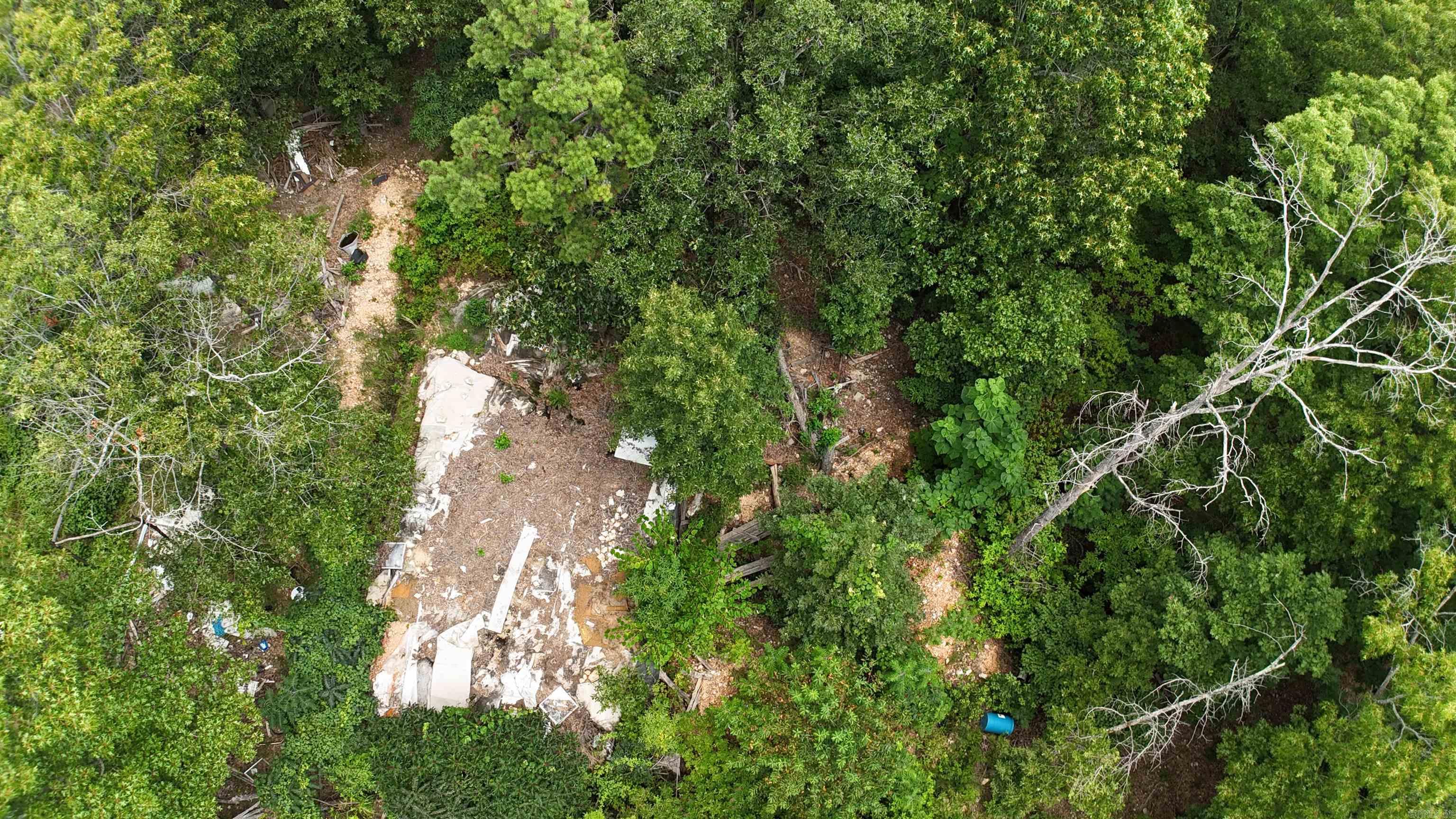 1267 Brushy Fork Property Photo 8