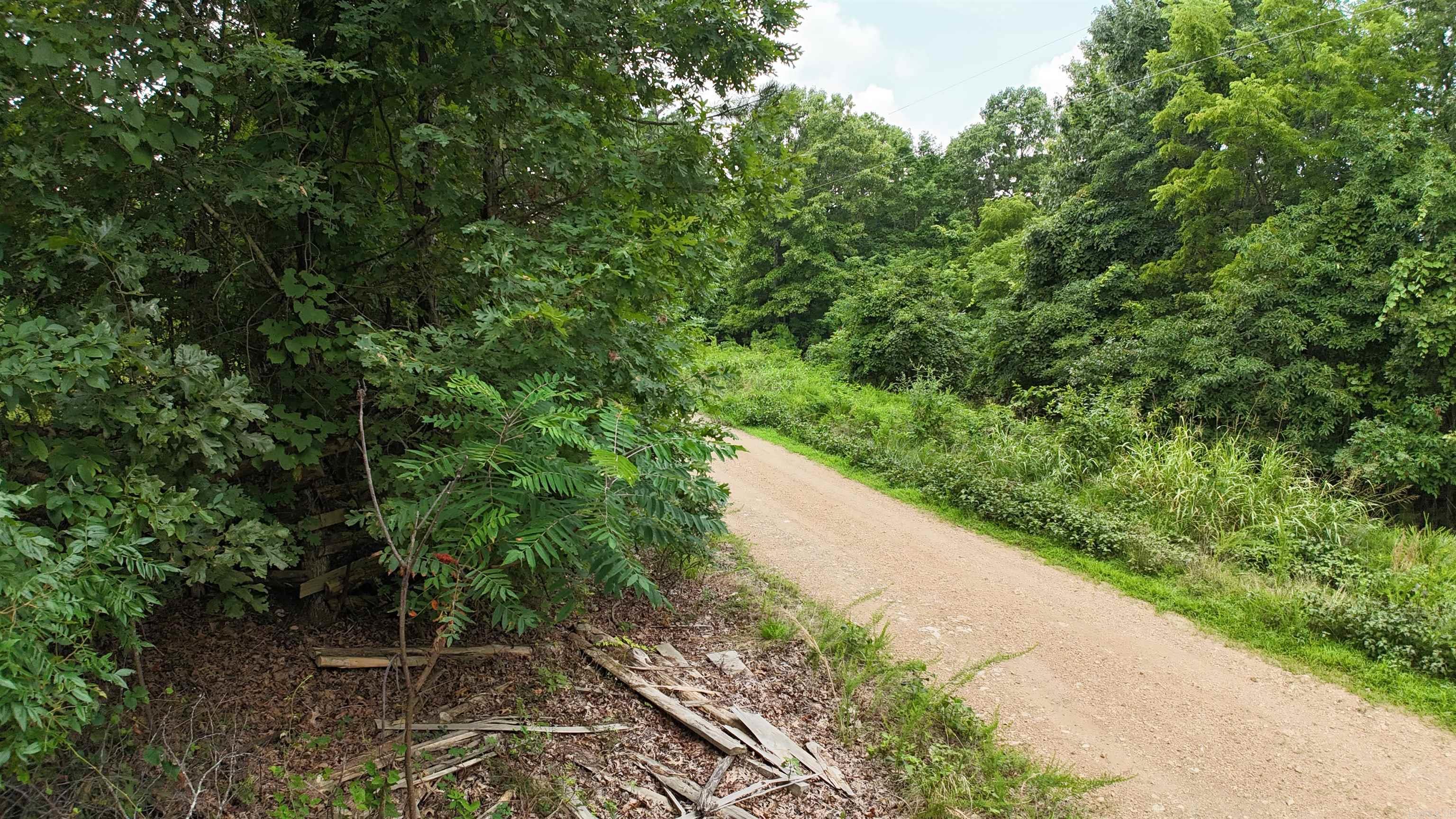 1267 Brushy Fork Property Photo 9