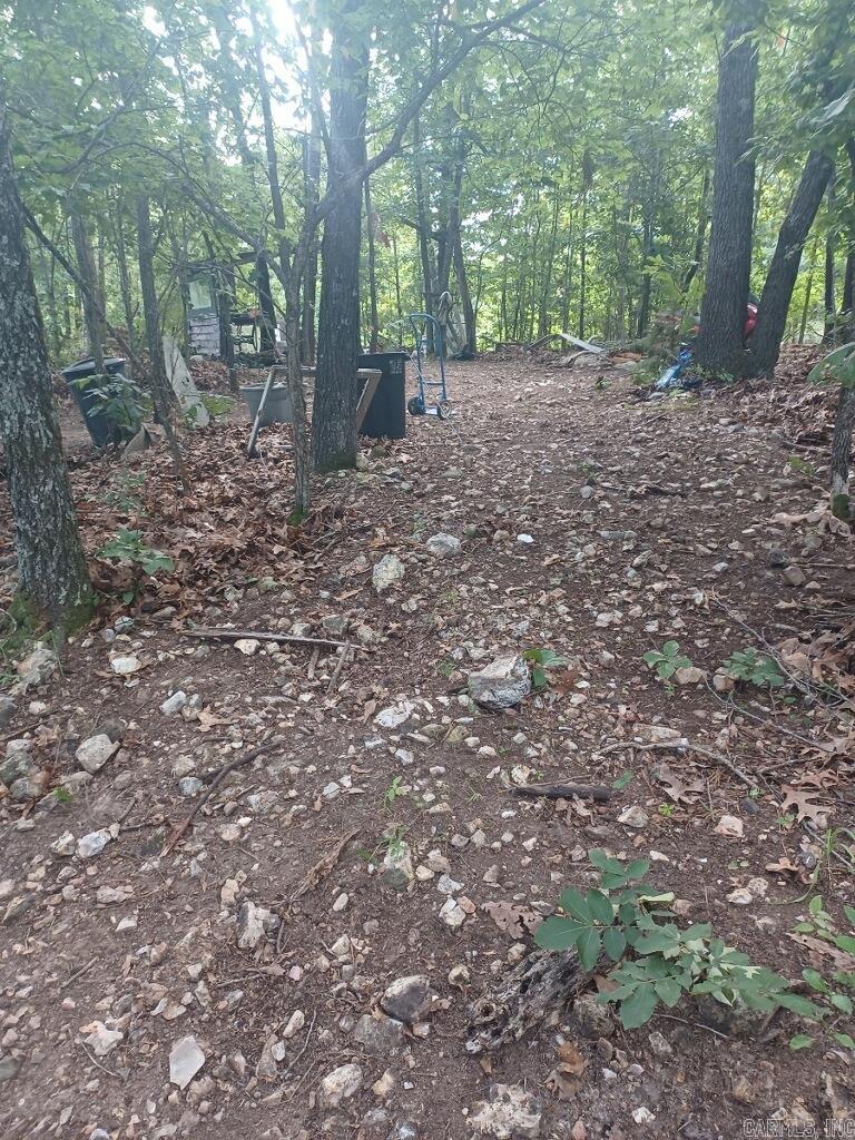1267 Brushy Fork Property Photo 14