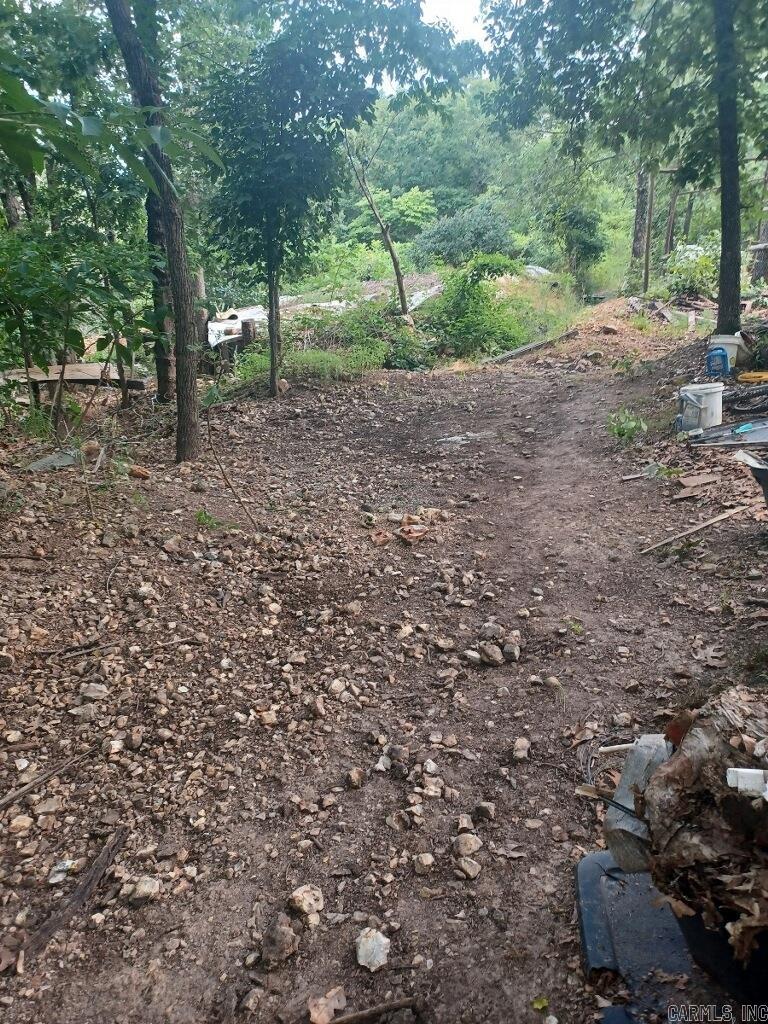 1267 Brushy Fork Property Photo 15