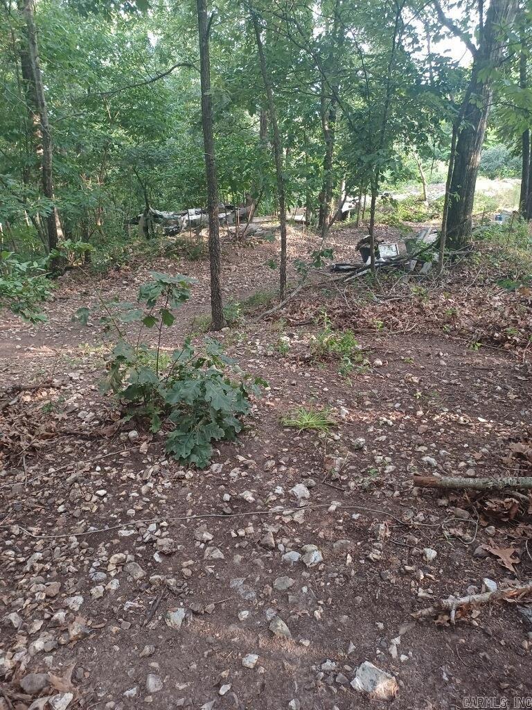 1267 Brushy Fork Property Photo 16