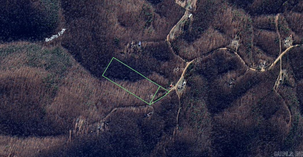 1267 Brushy Fork Property Photo 19