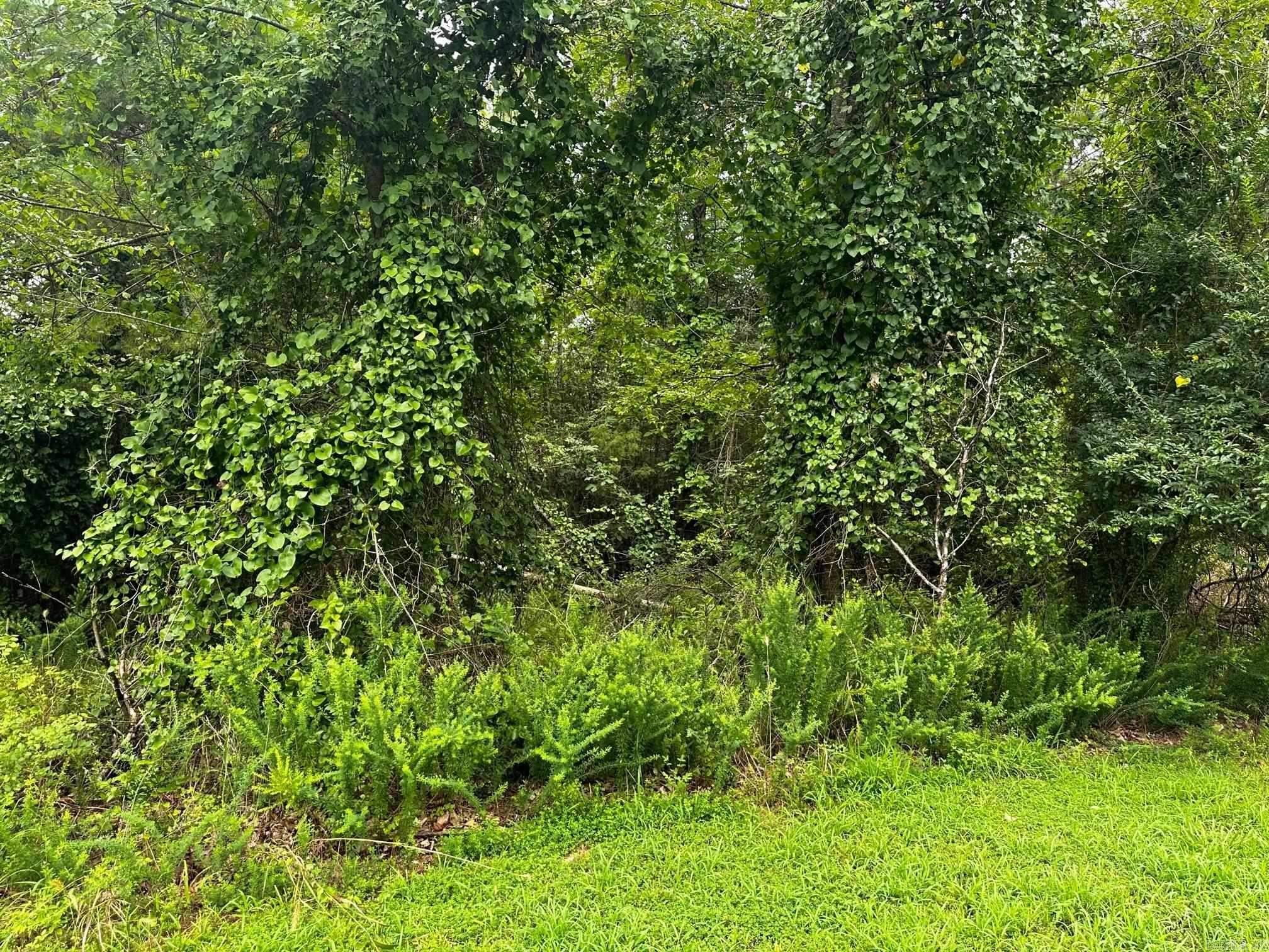 Lot 69 Cobalt Bay Drive Property Photo 1