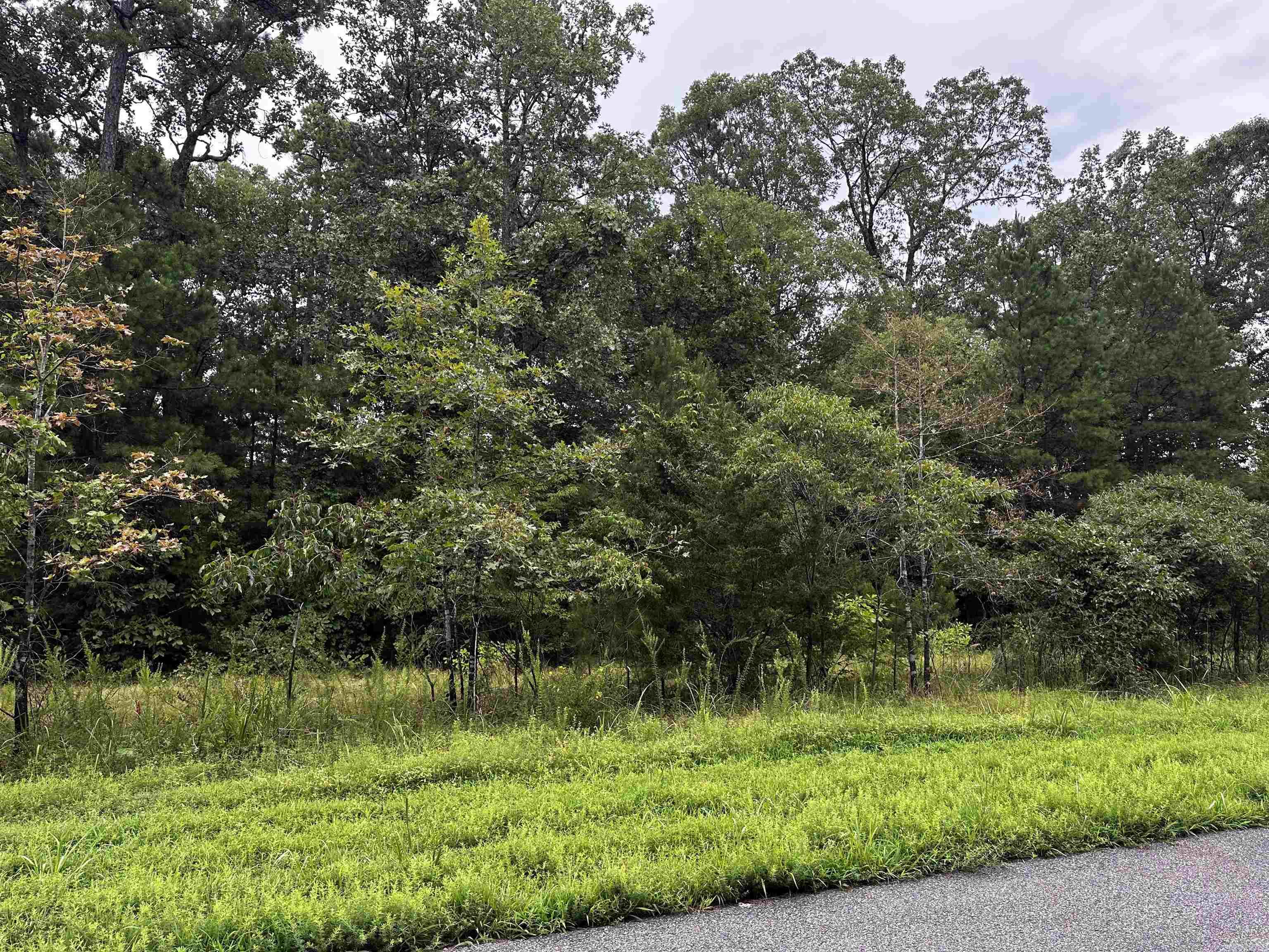 Lot 69 Cobalt Bay Drive Property Photo 2