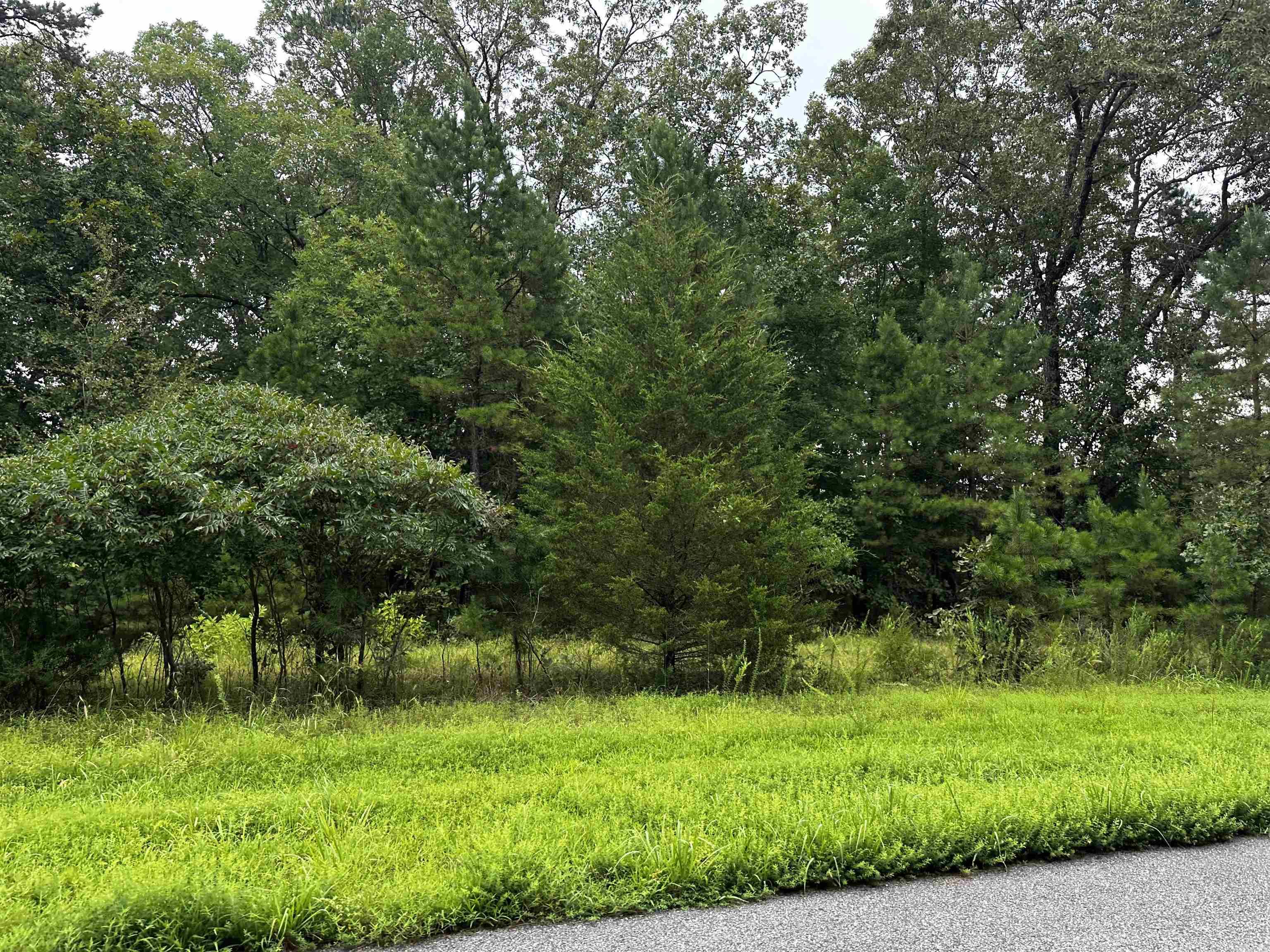 Lot 69 Cobalt Bay Drive Property Photo 3