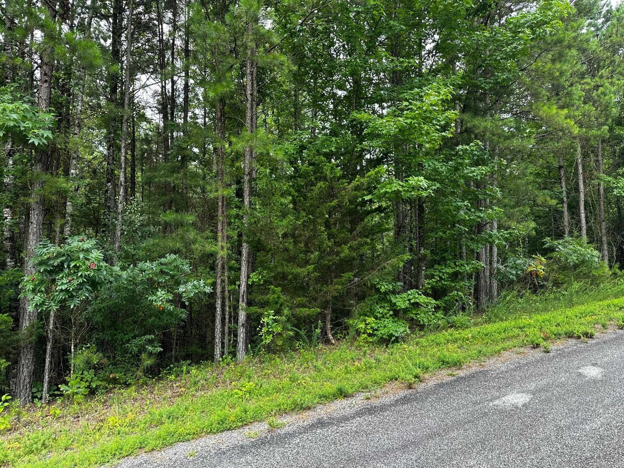 Lot 107 Cobalt Bay Drive Property Photo 1