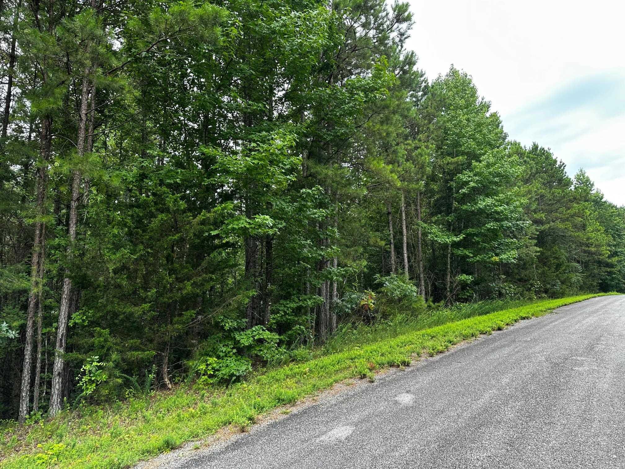 Lot 107 Cobalt Bay Drive Property Photo 2