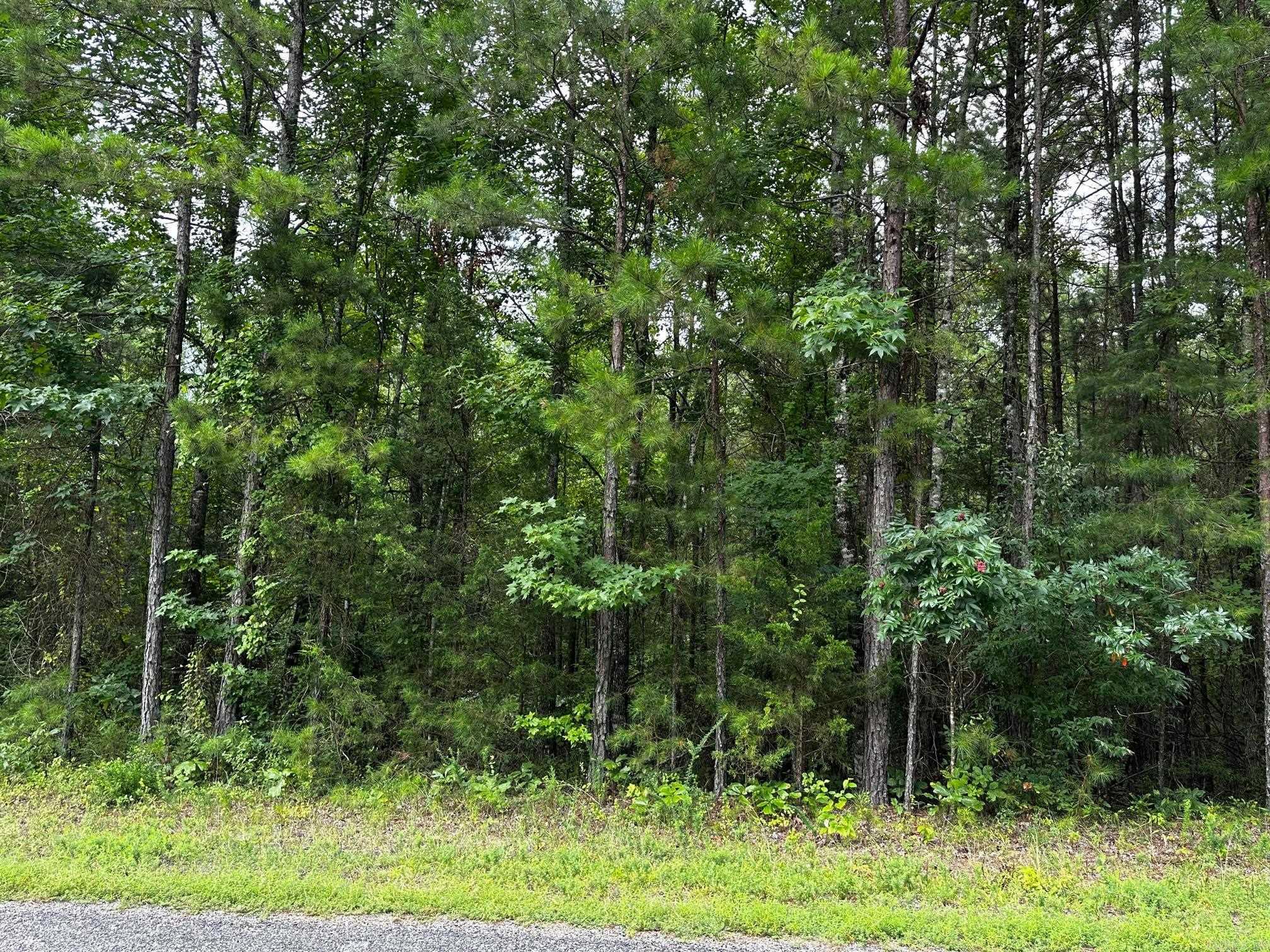 Lot 107 Cobalt Bay Drive Property Photo 3