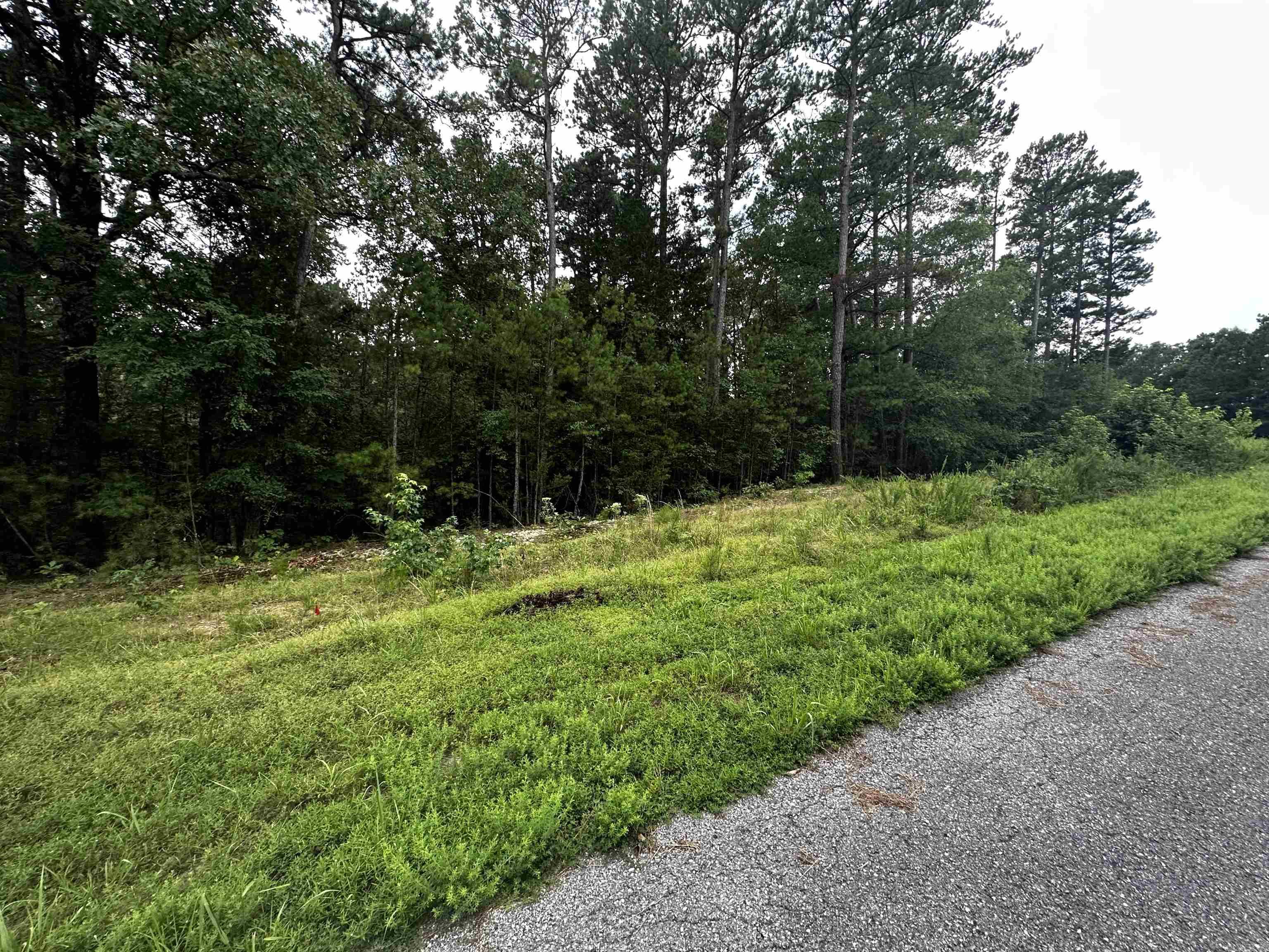 Lot 62 Green Creek Trl Property Photo 1