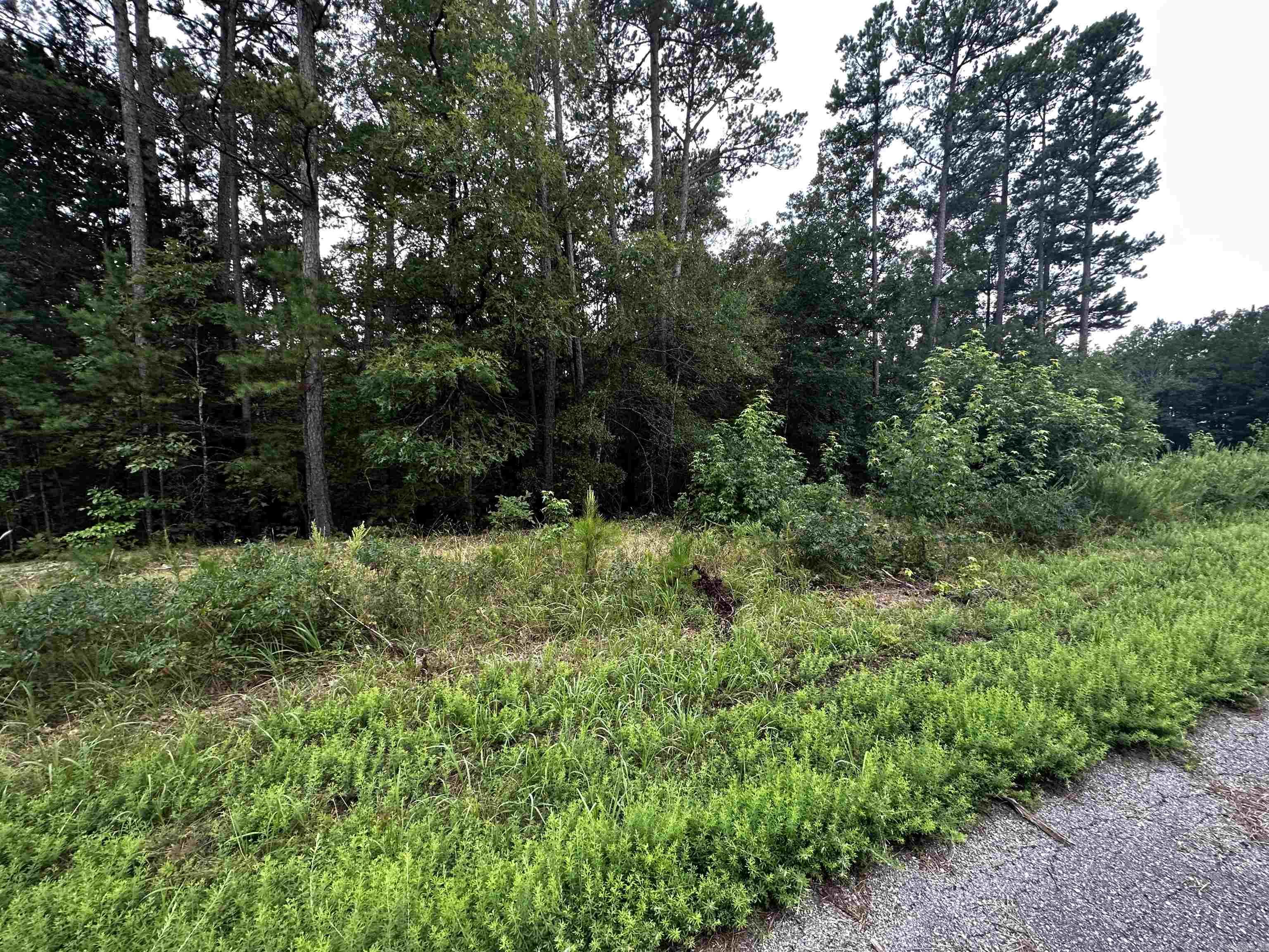 Lot 62 Green Creek Trl Property Photo 2