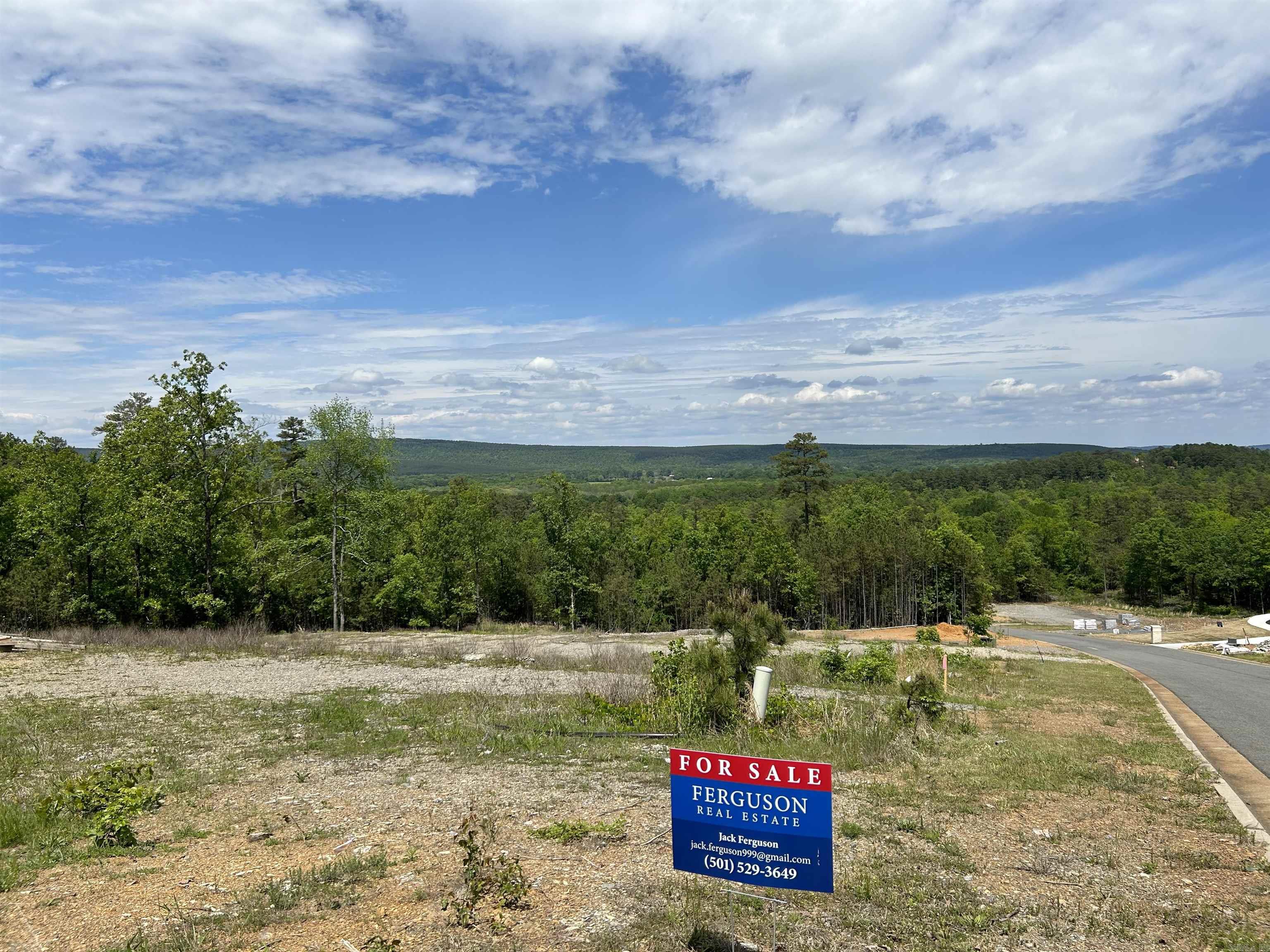 Lot 321 Waterview Meadows Lane Property Photo 3