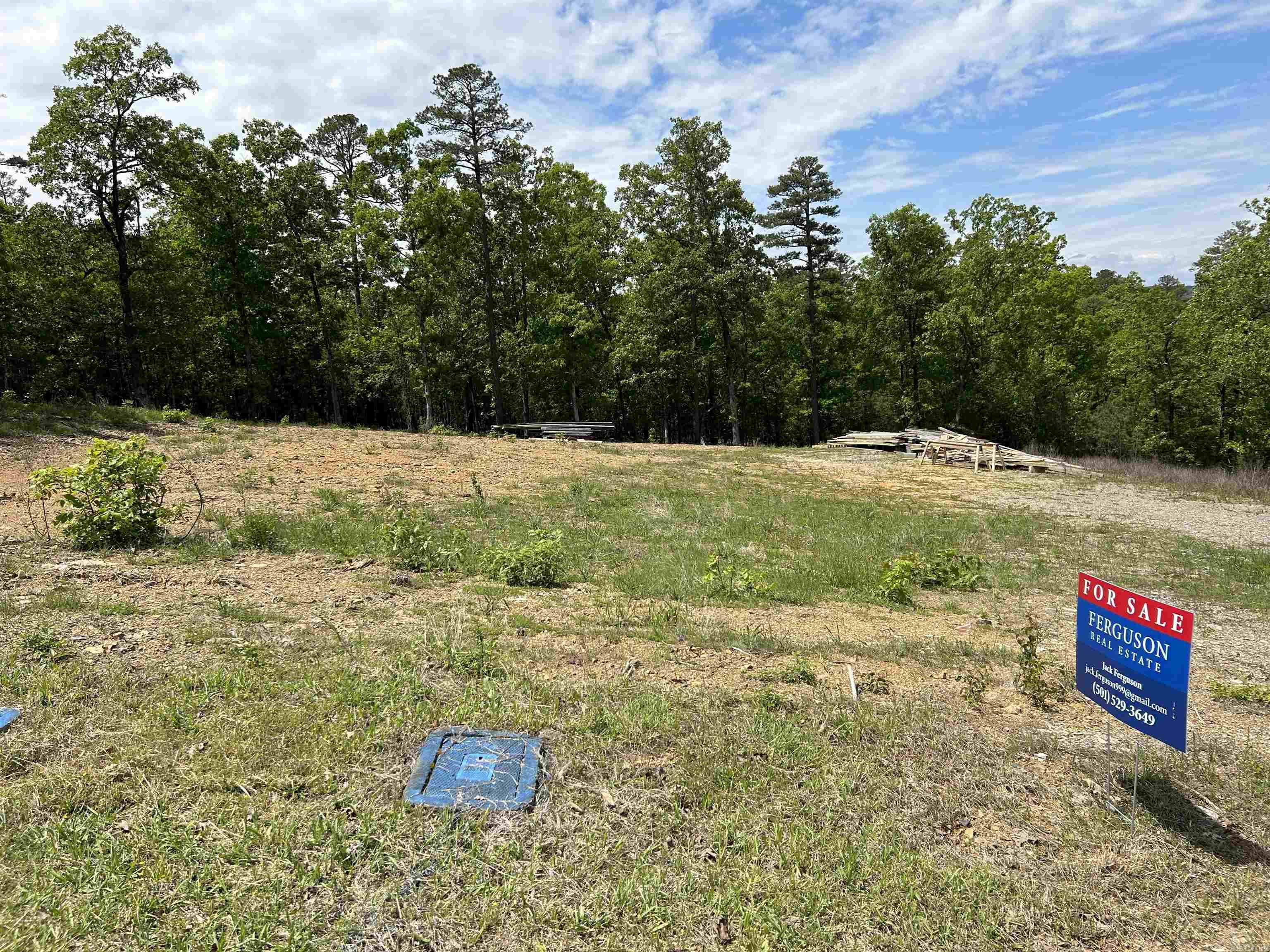 Lot 321 Waterview Meadows Lane Property Photo 4