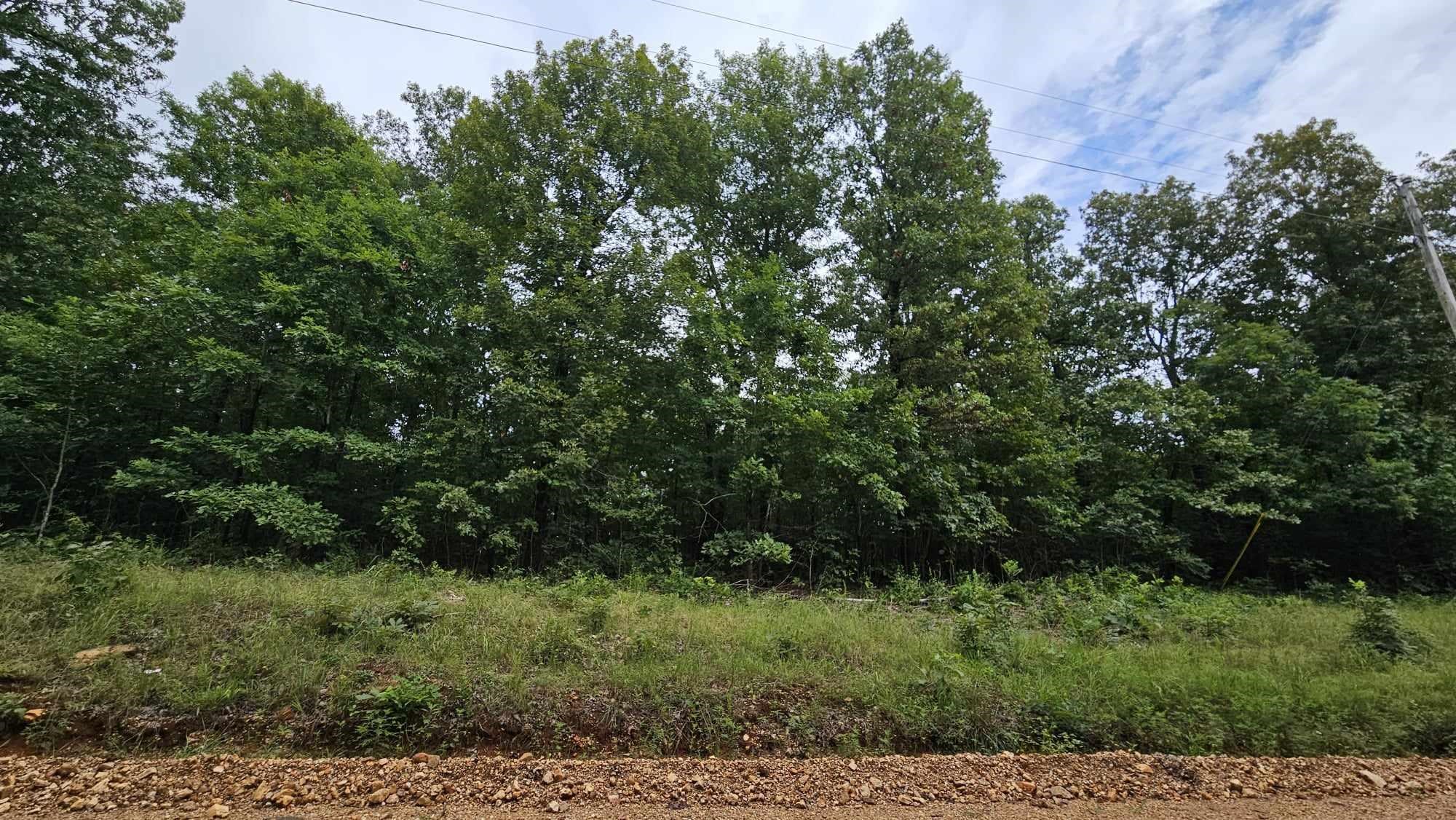 5996 9 Mile Ridge Road Property Photo 5