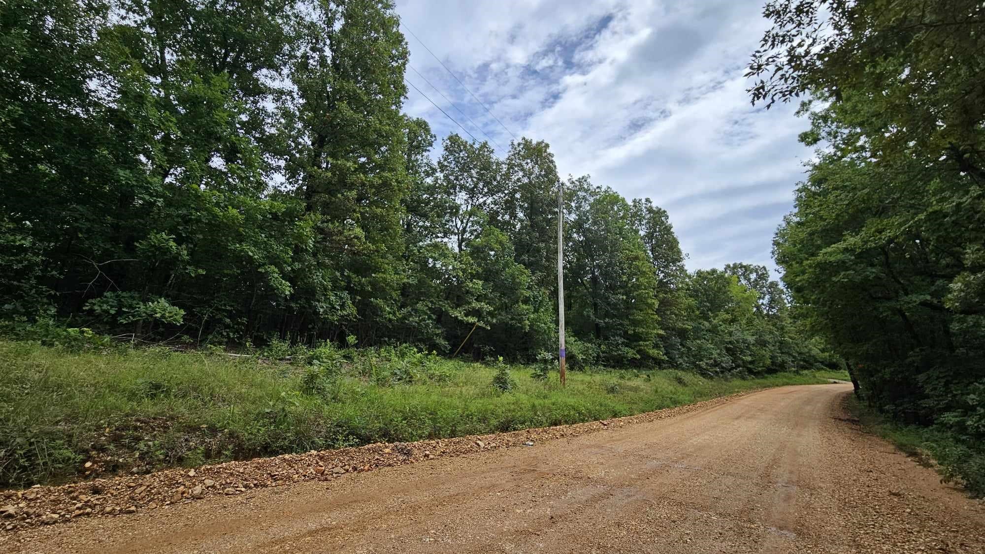5996 9 Mile Ridge Road Property Photo 6