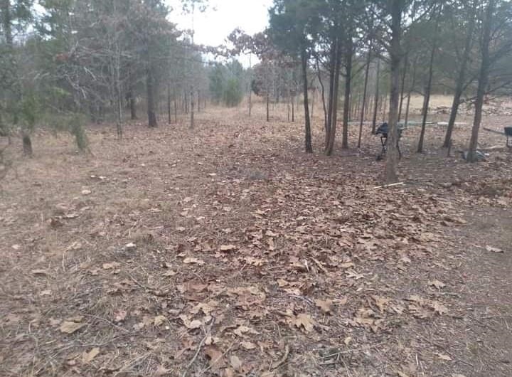 5996 9 Mile Ridge Road Property Photo 10