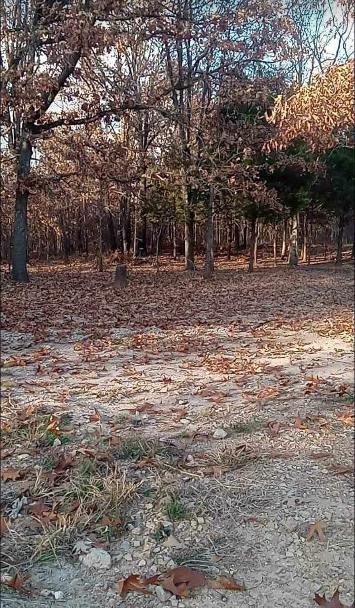 5996 9 Mile Ridge Road Property Photo 11