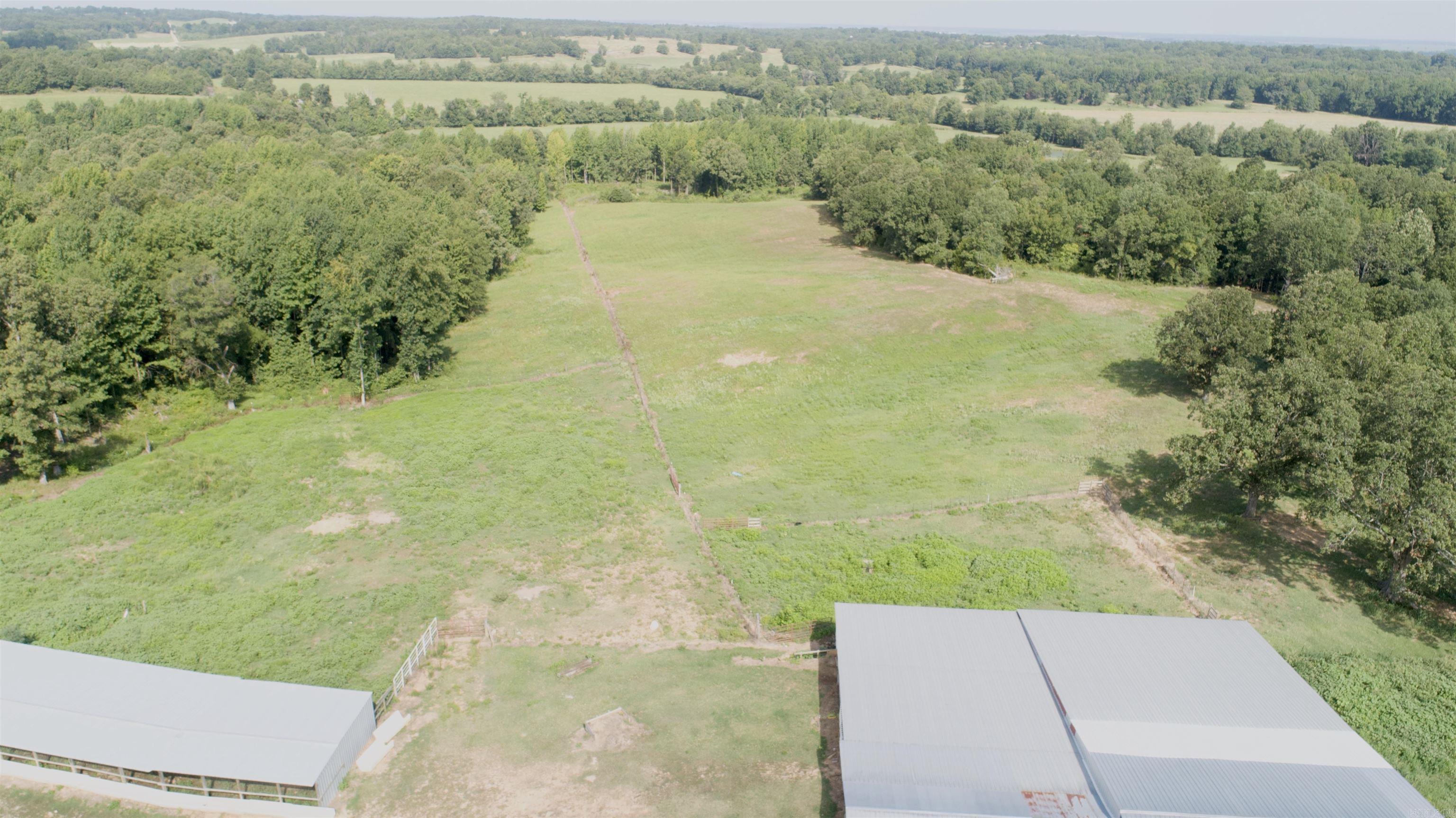 1471 County Road 435 Property Photo 6
