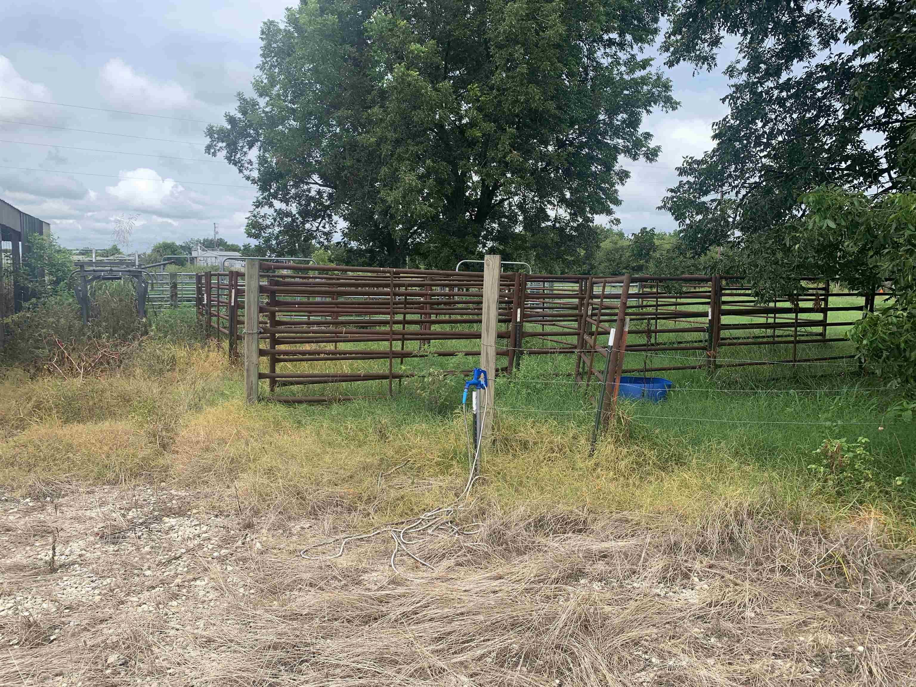 21 Acres W Oak Property Photo 3