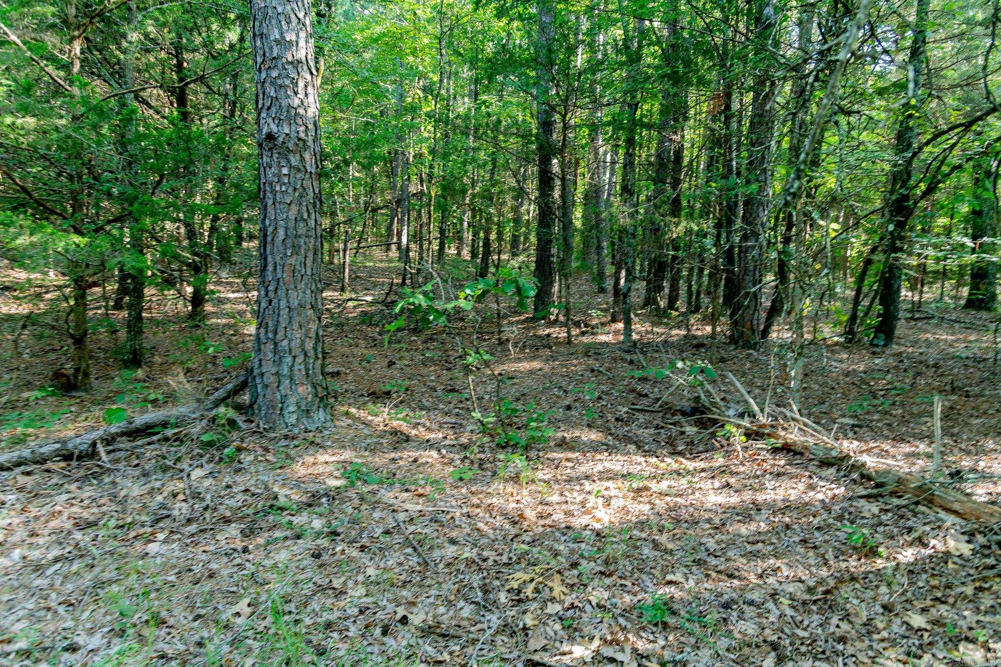 463 Hwy 5 South Property Photo 6