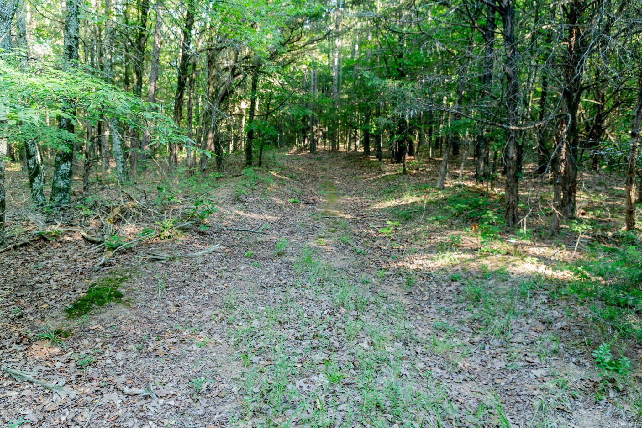 463 Hwy 5 South Property Photo 9