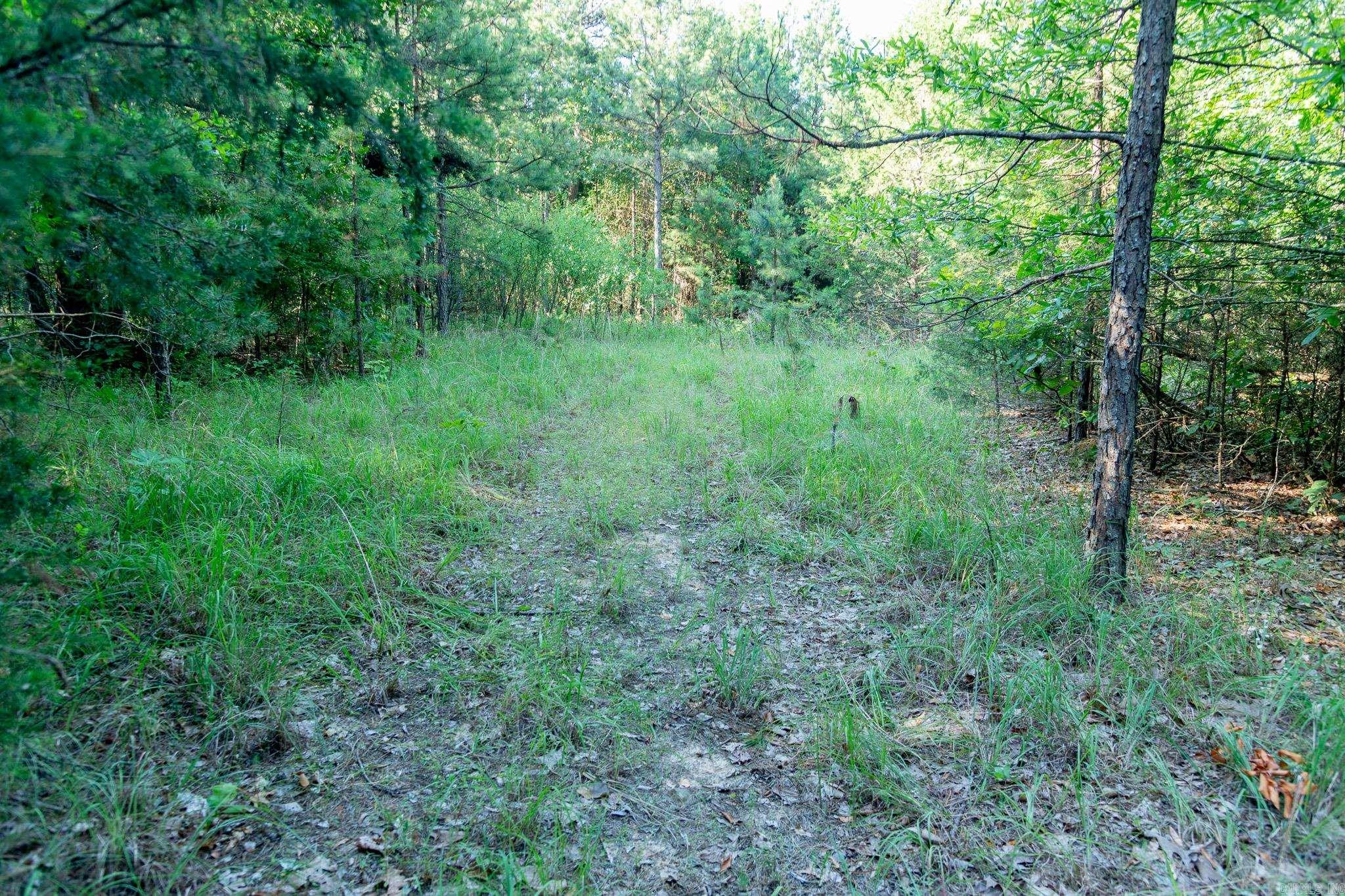 463 Hwy 5 South Property Photo 18