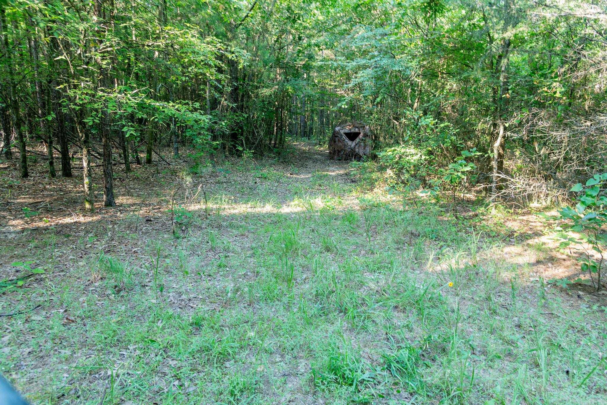 463 Hwy 5 South Property Photo 23