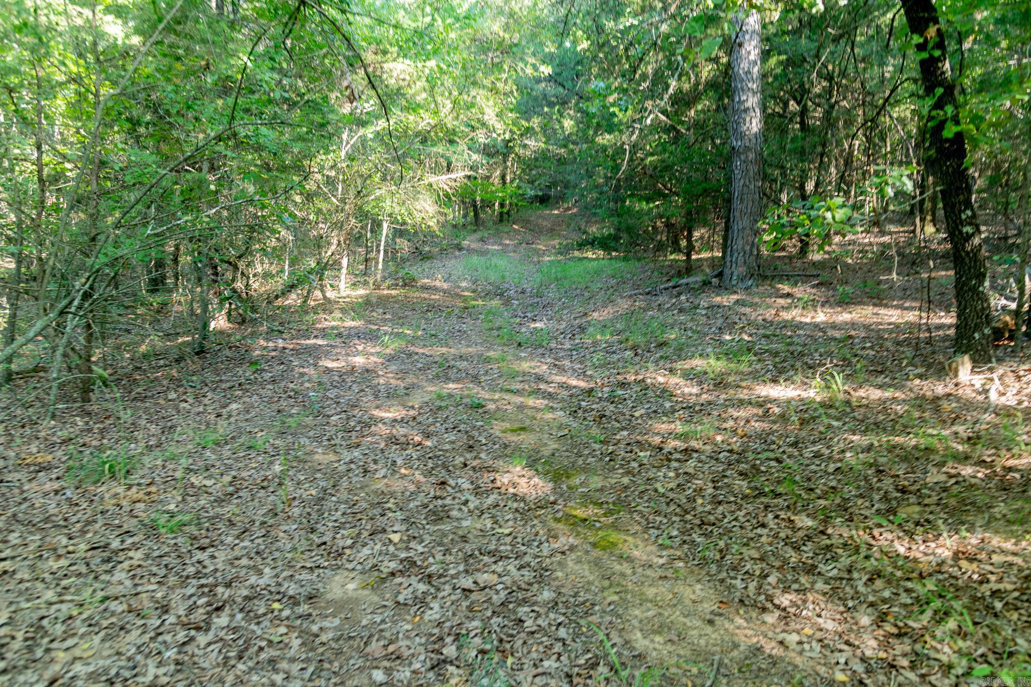 463 Hwy 5 South Property Photo 35
