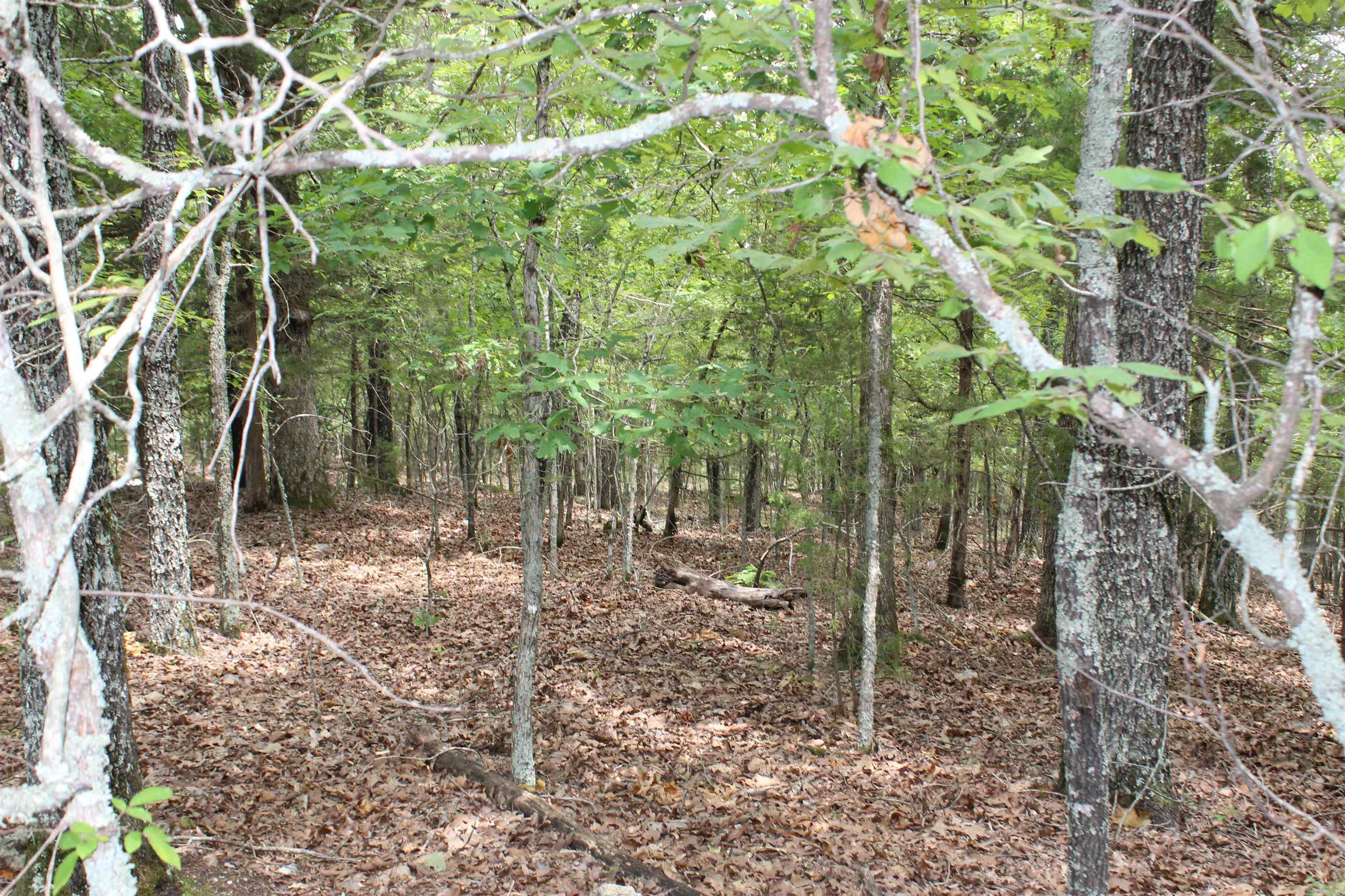 4275 Pine Hollow Rd. Property Photo 9