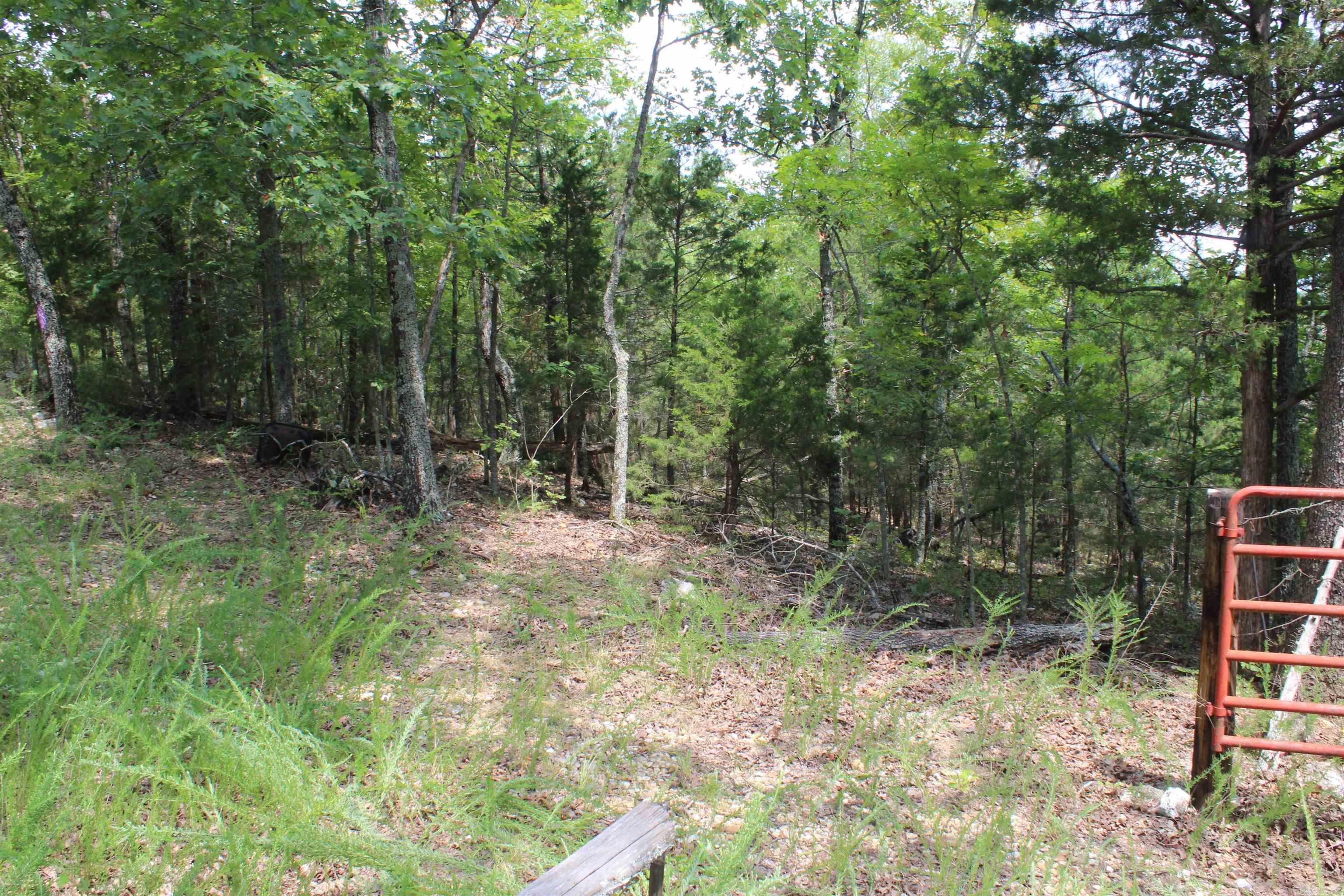 4275 Pine Hollow Rd. Property Photo 10