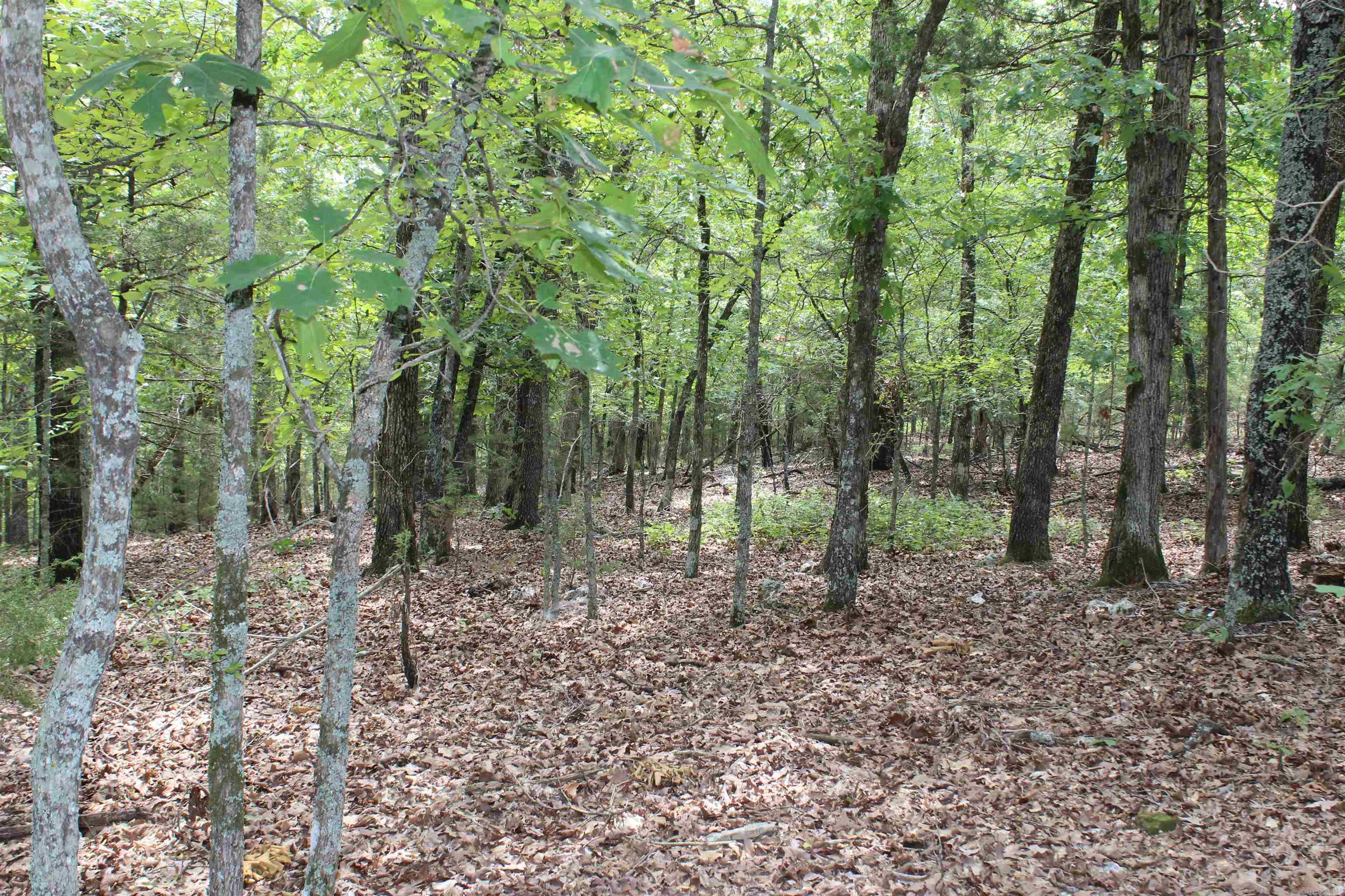 4275 Pine Hollow Rd. Property Photo 26