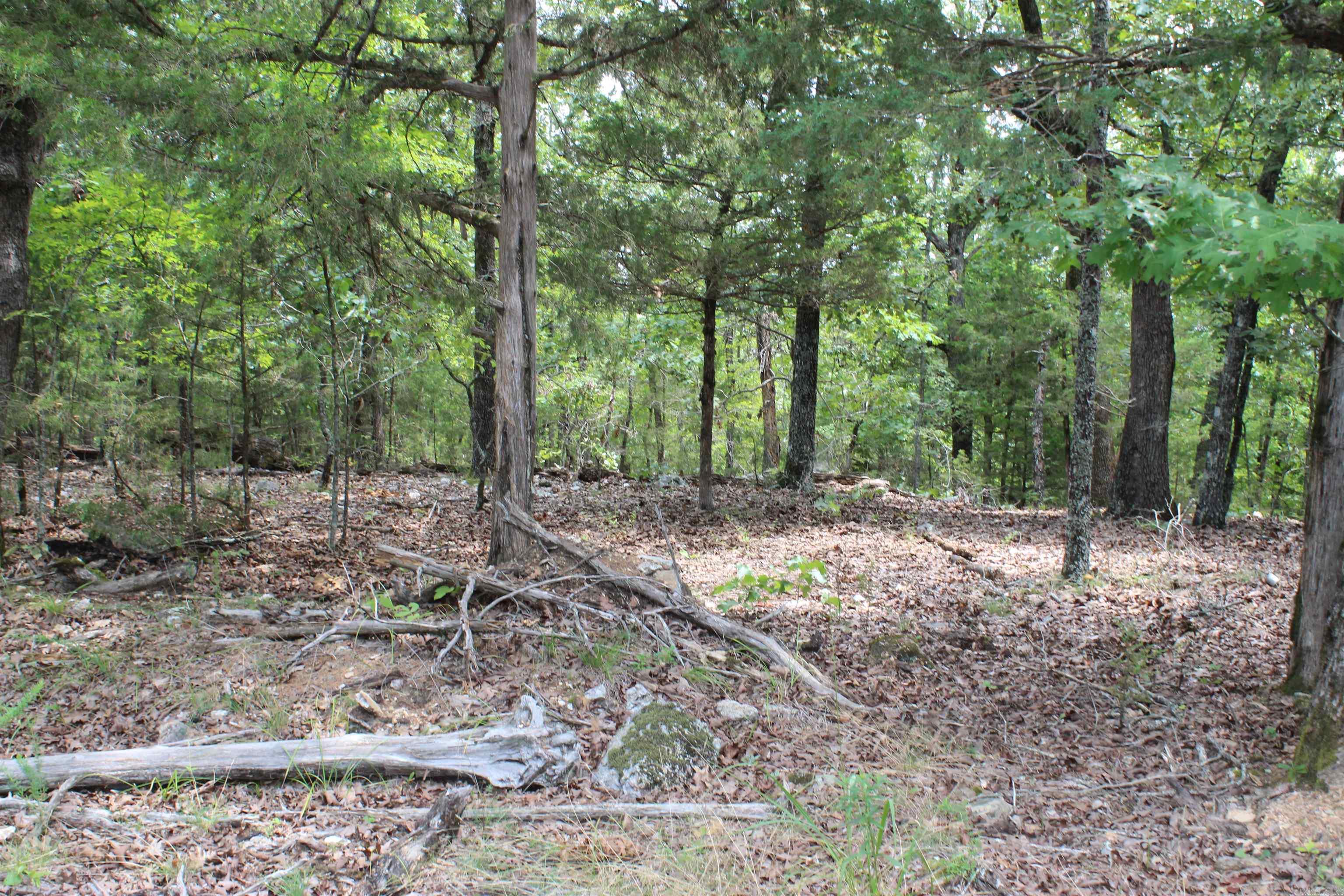 4275 Pine Hollow Rd. Property Photo 40