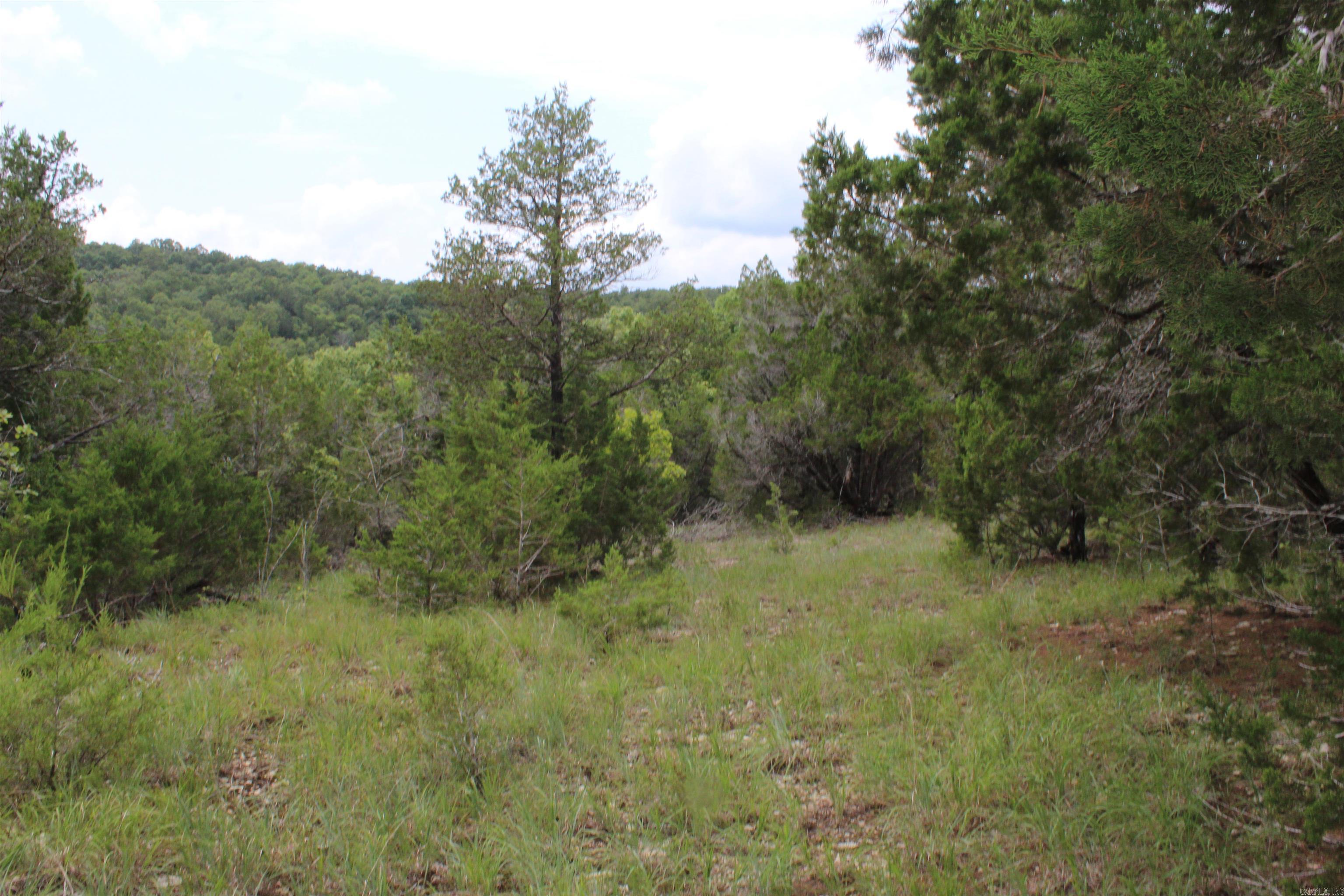 4275 Pine Hollow Rd. Property Photo 43