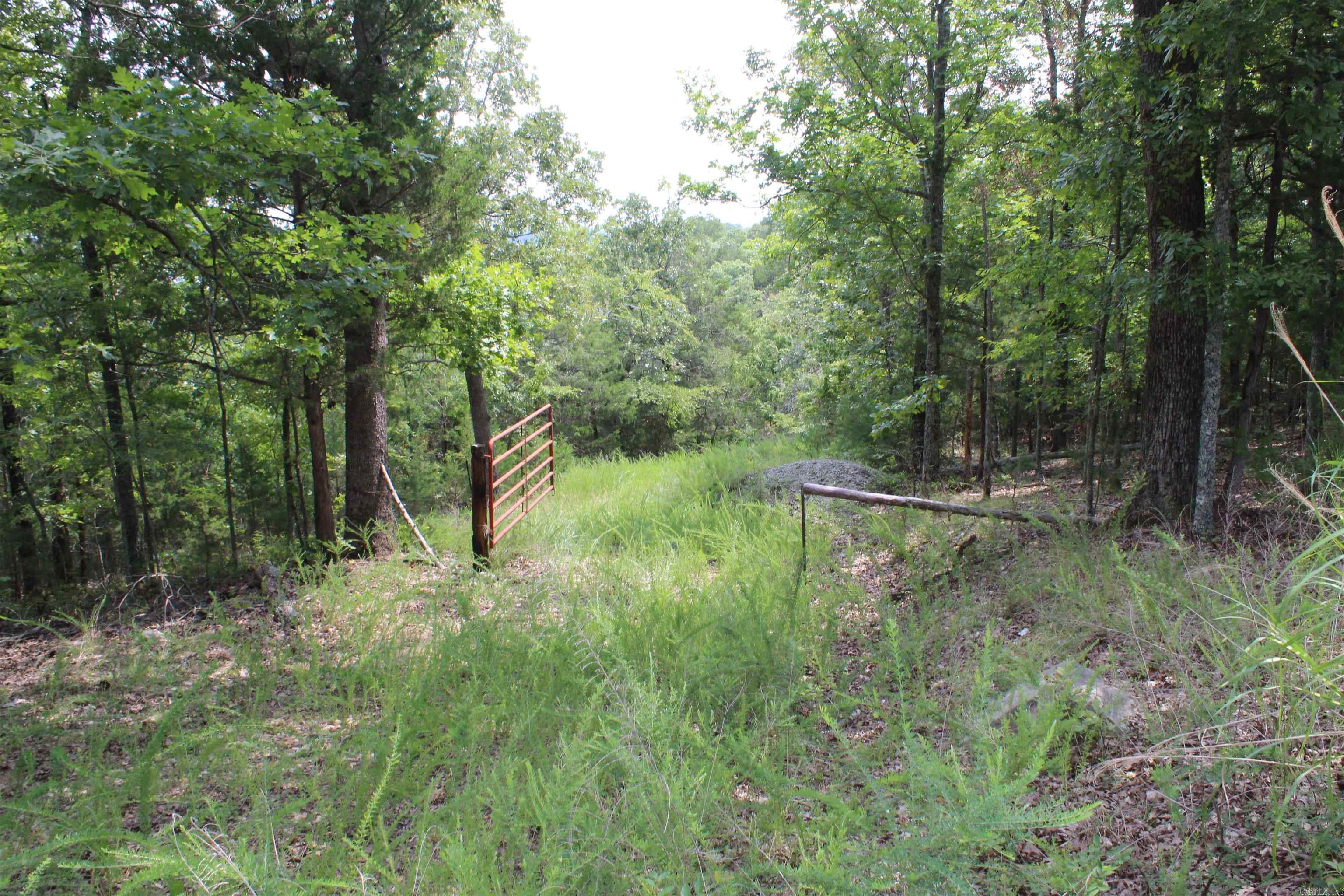 4275 Pine Hollow Rd. Property Photo 45