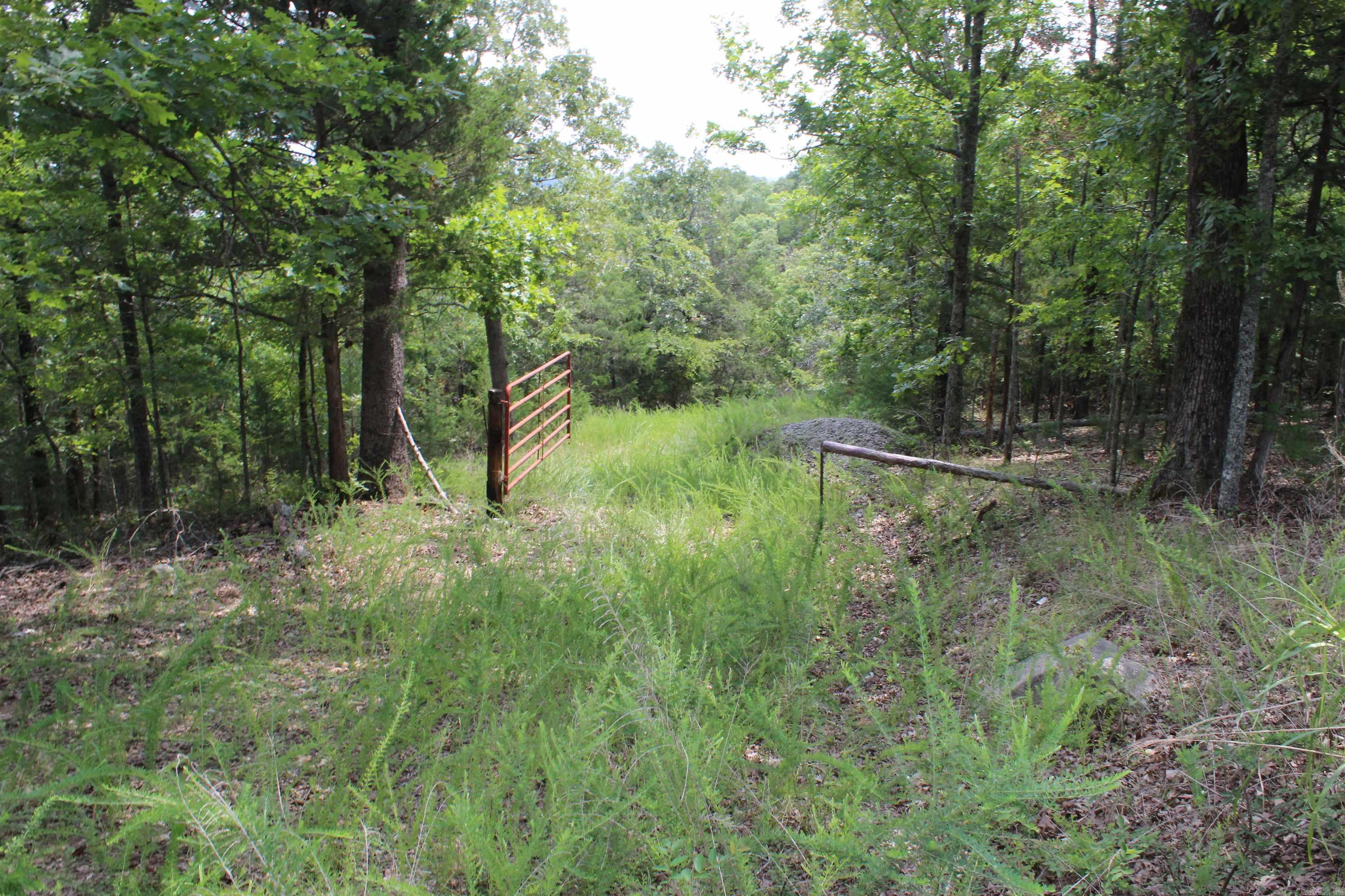 4275 Pine Hollow Rd. Property Photo 46
