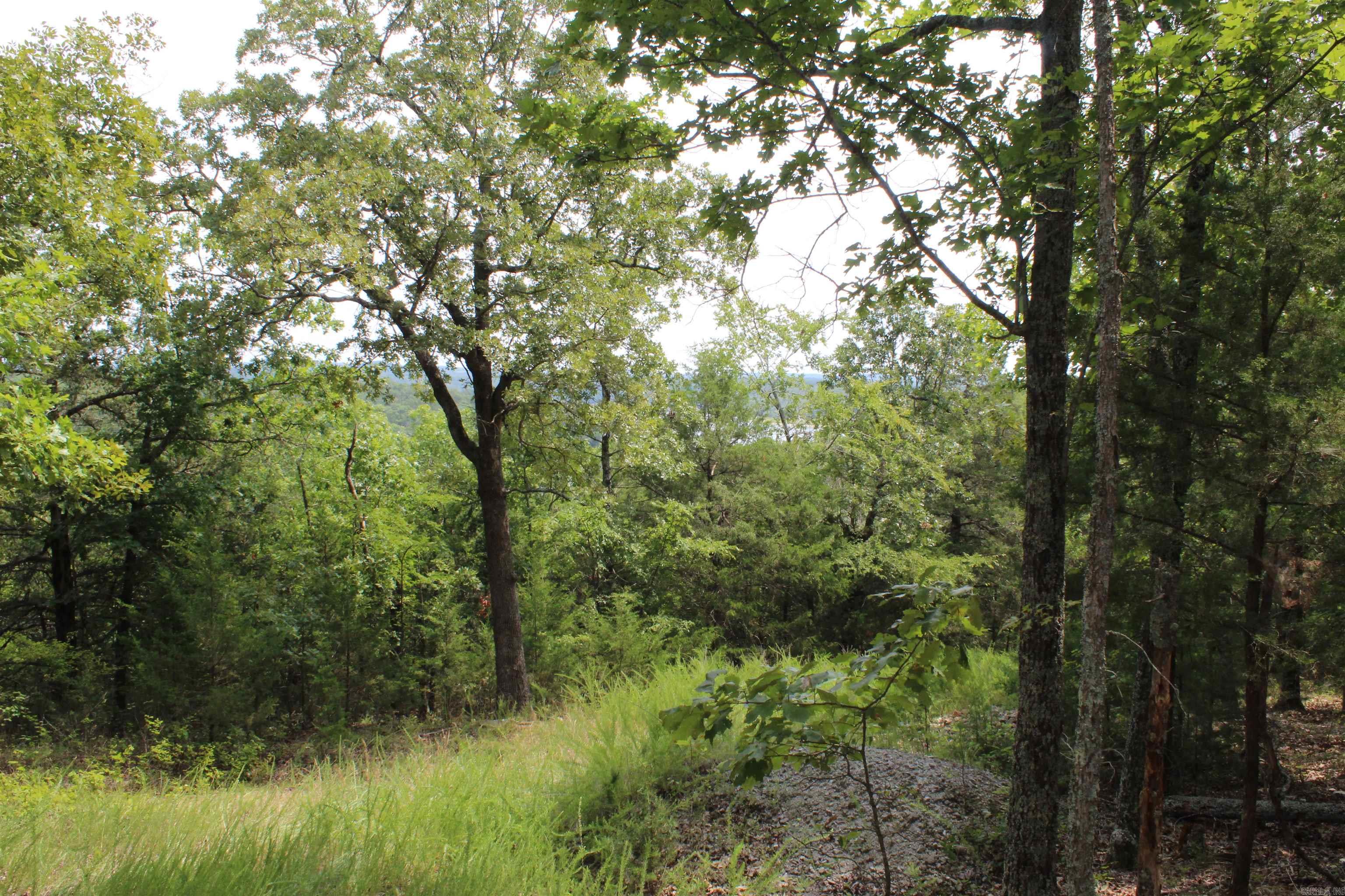 4275 Pine Hollow Rd. Property Photo 47