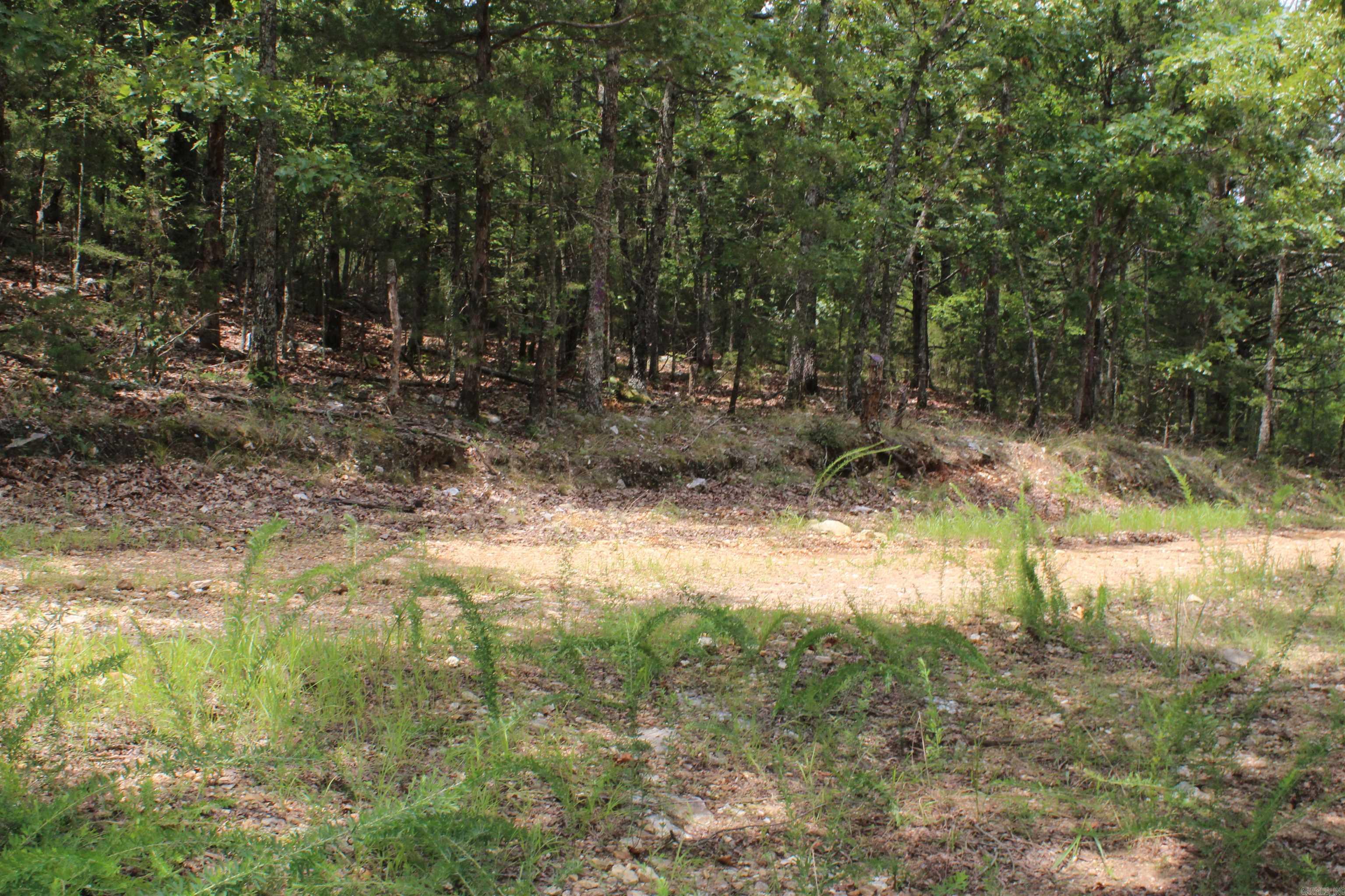 4275 Pine Hollow Rd. Property Photo 48