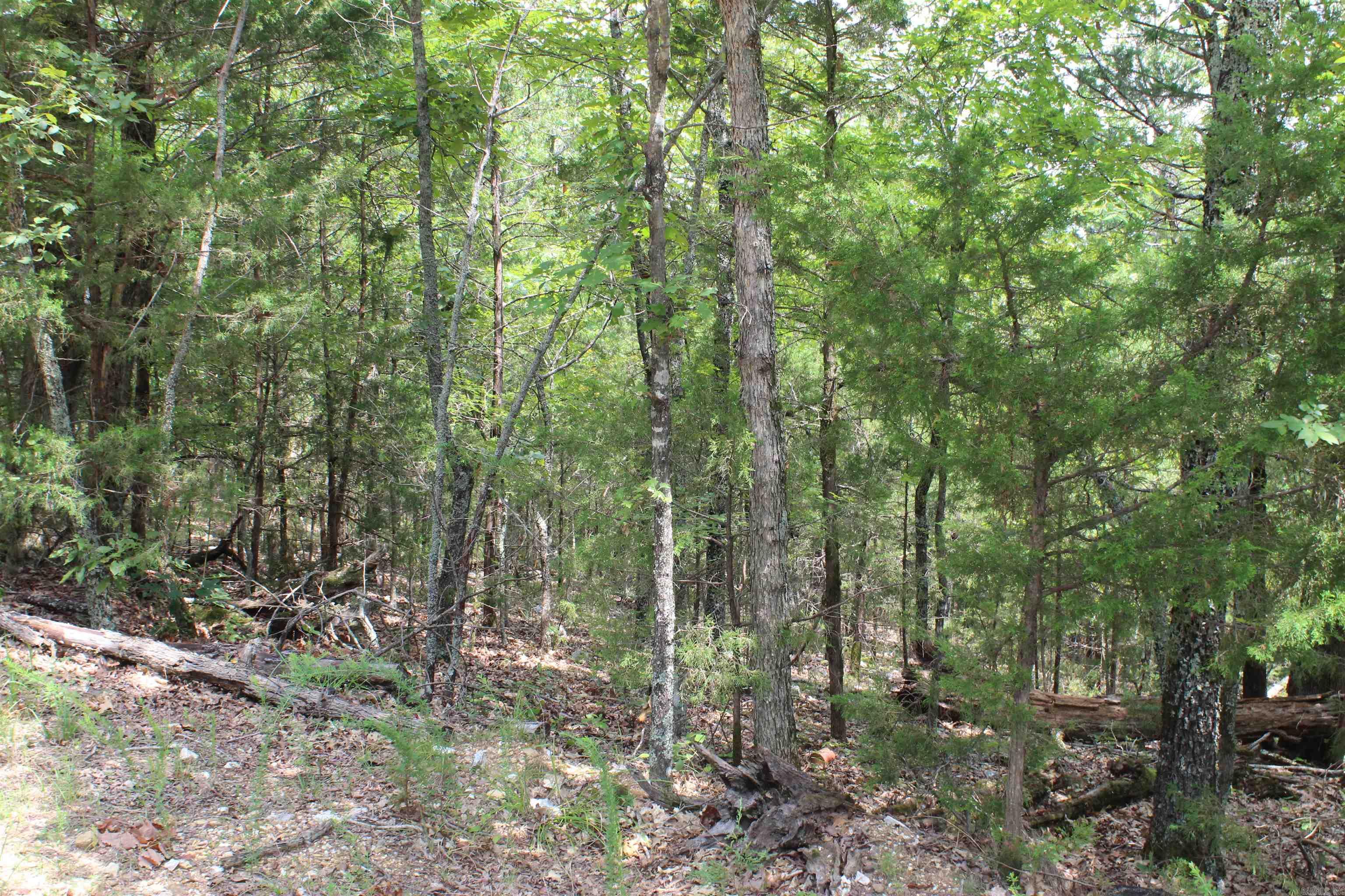 4275 Pine Hollow Rd. Property Photo 49