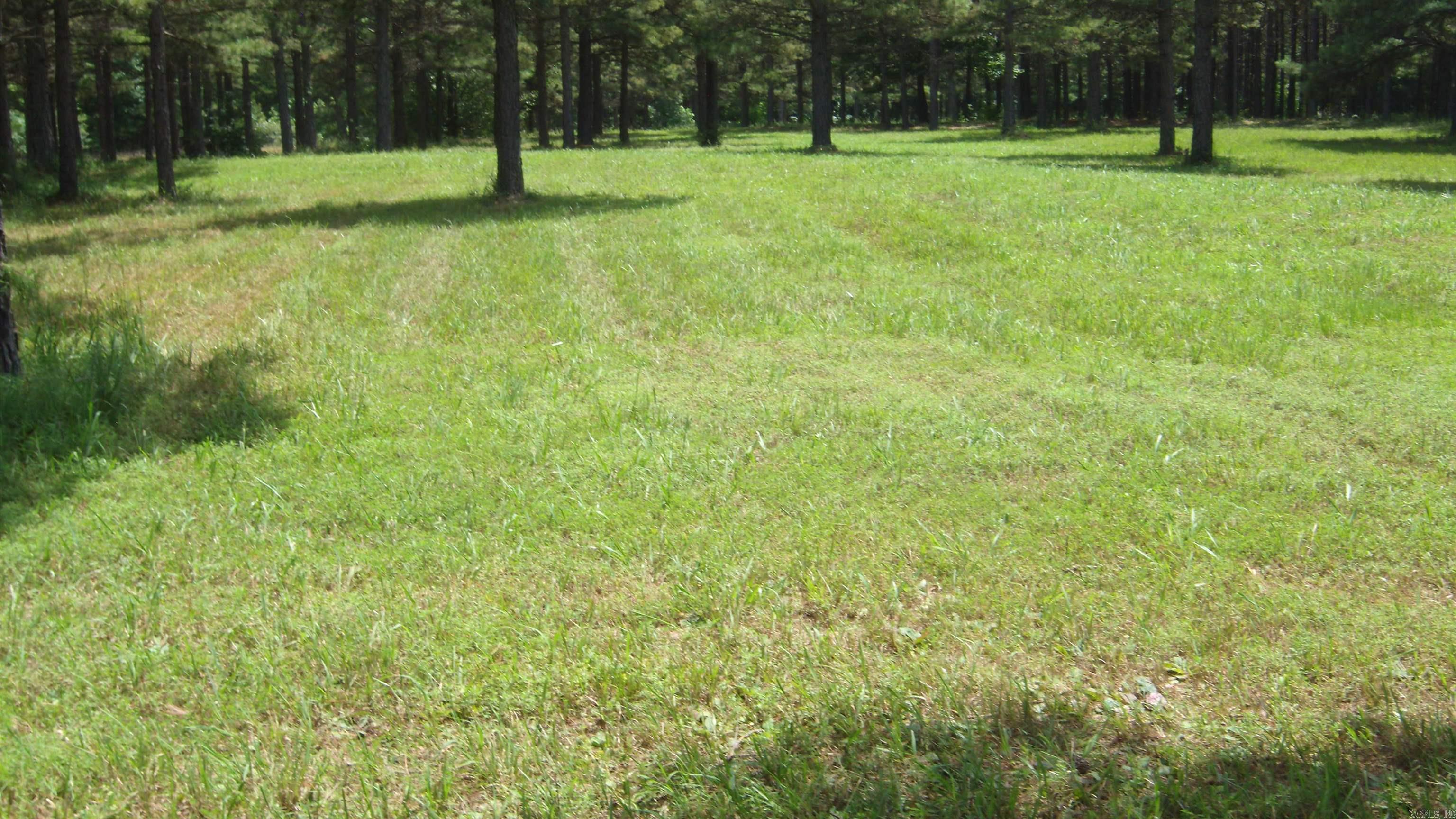 00 Morgan Rd Property Photo 1