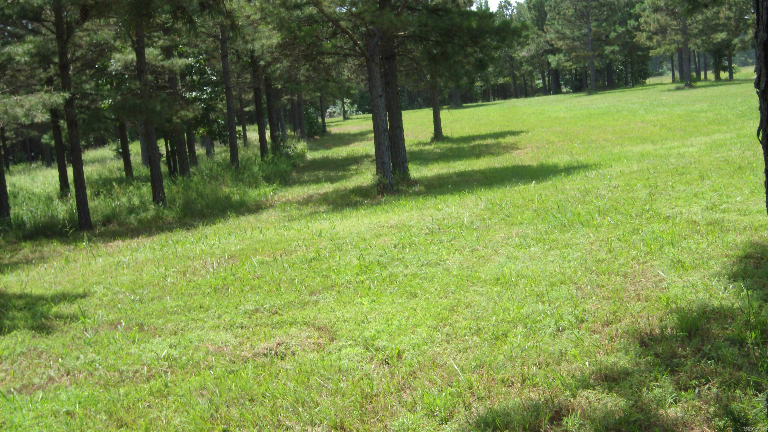 00 Morgan Rd Property Photo 3