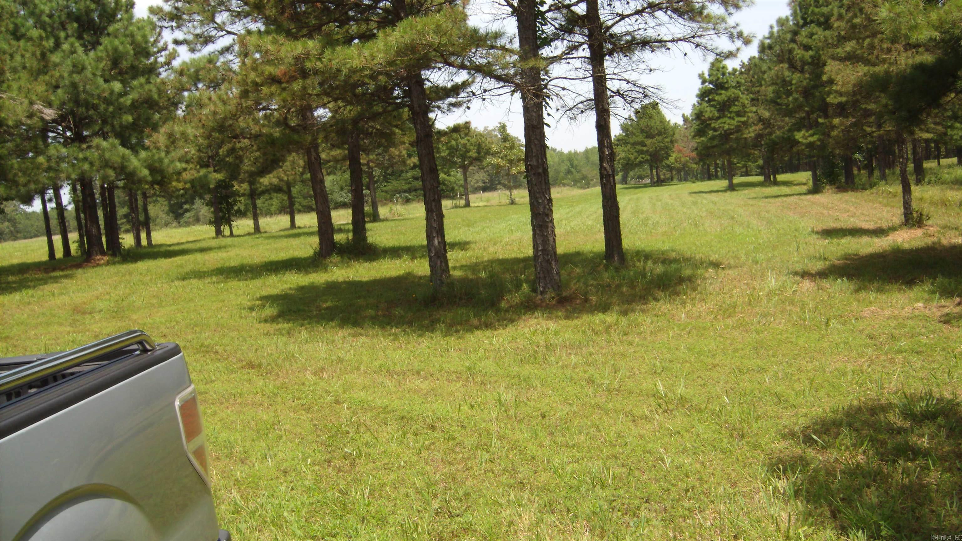 00 Morgan Rd Property Photo 4
