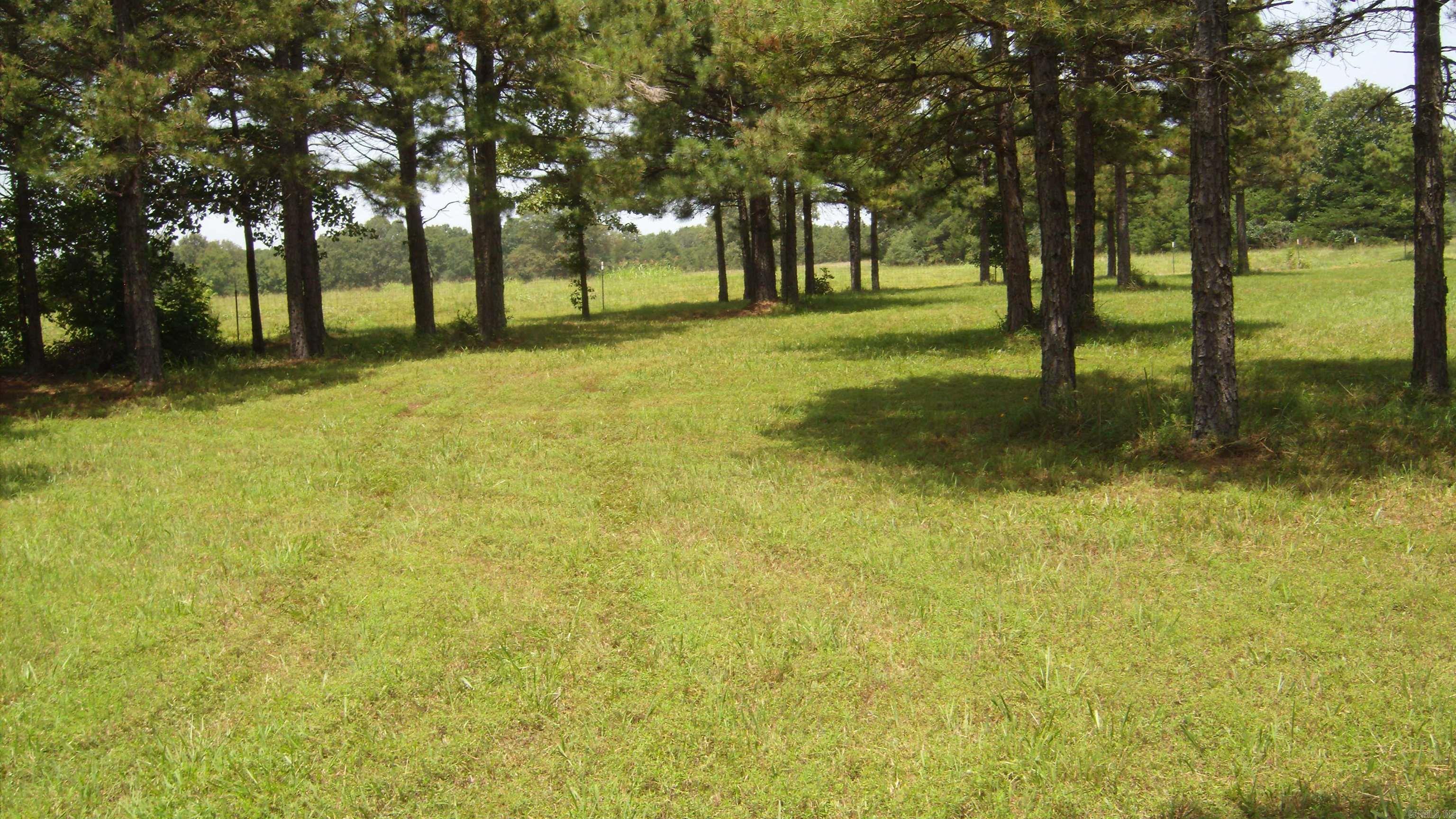 00 Morgan Rd Property Photo 5