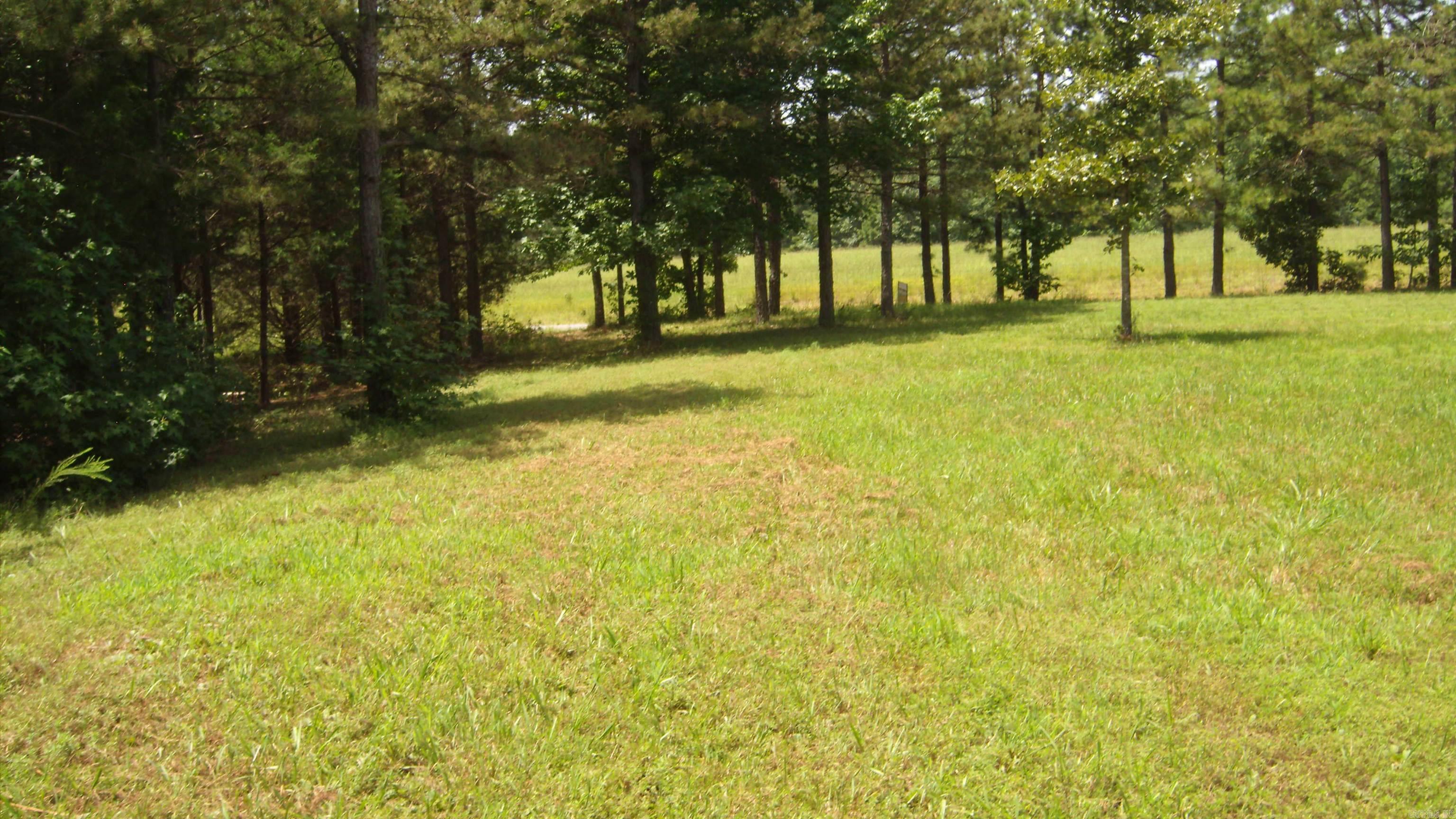 00 Morgan Rd Property Photo 6