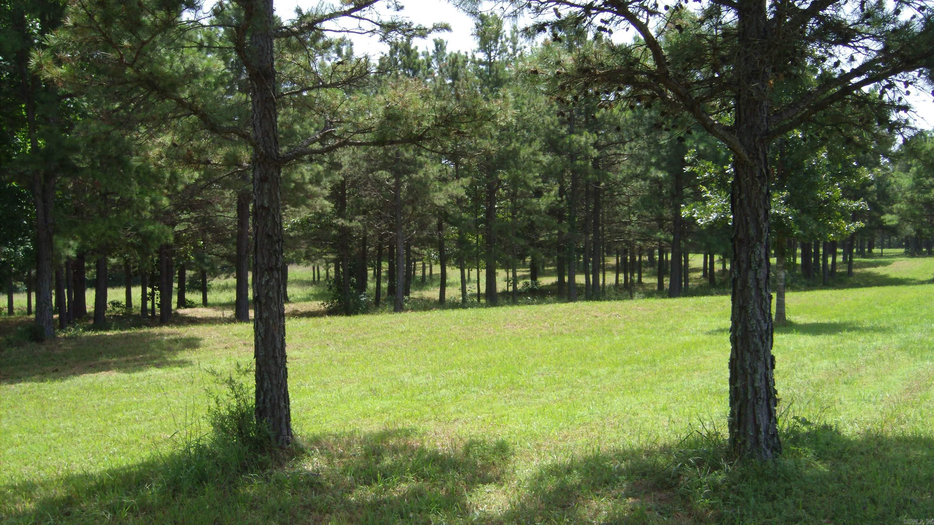 00 Morgan Rd Property Photo 8