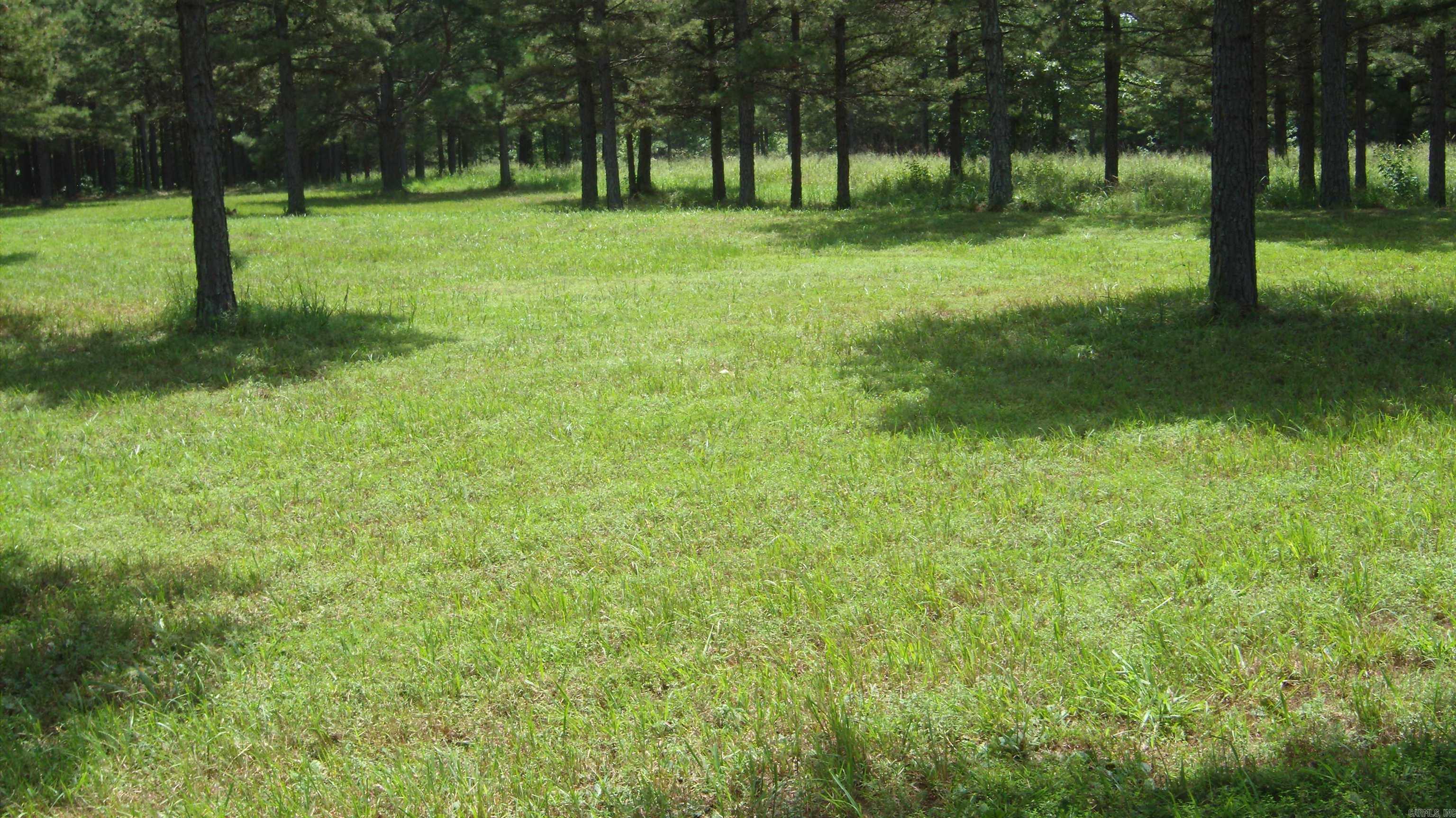 00 Morgan Rd Property Photo 16