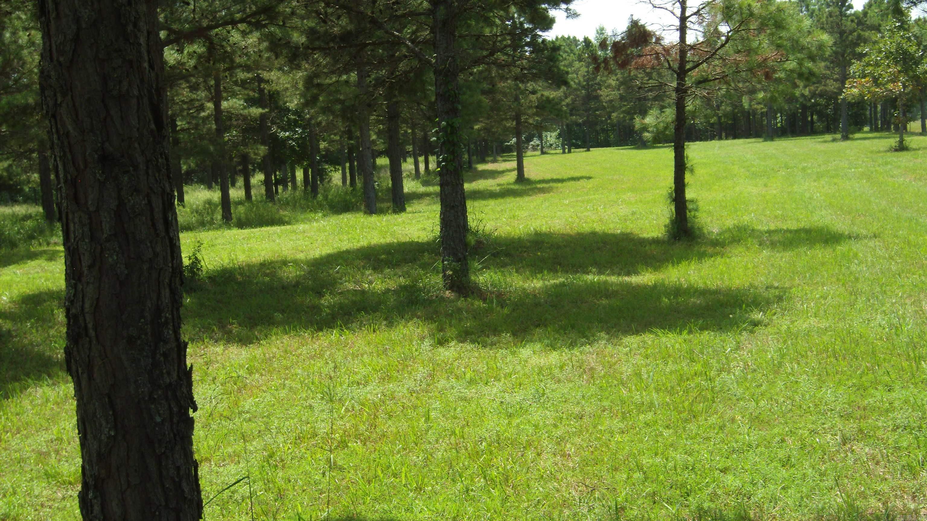 00 Morgan Rd Property Photo 17