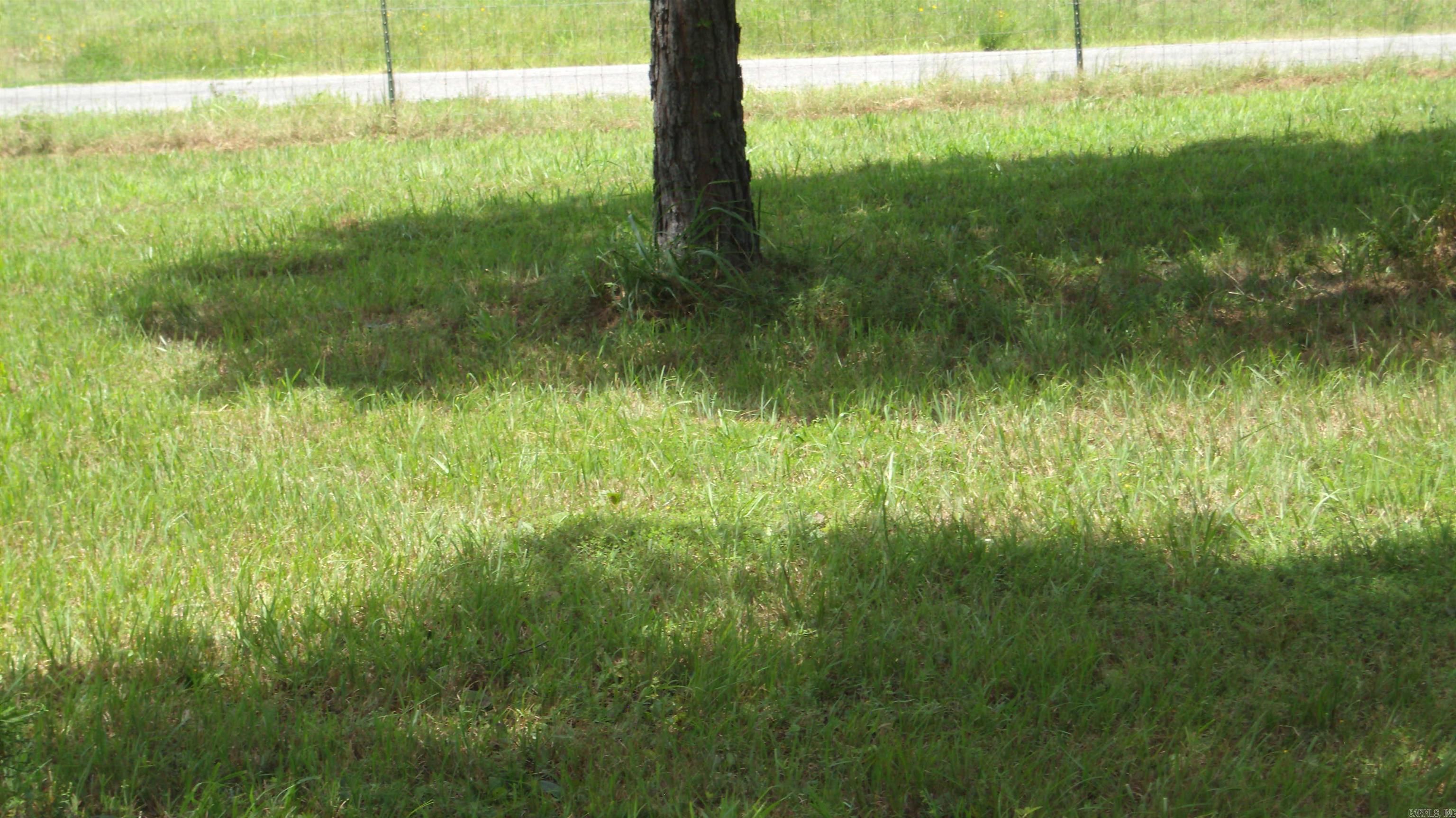 00 Morgan Rd Property Photo 19