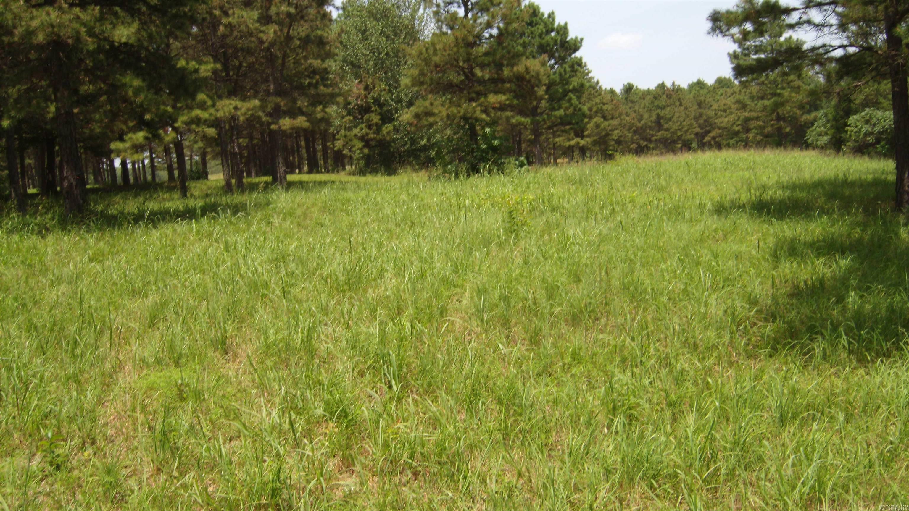 00 Morgan Rd Property Photo 20