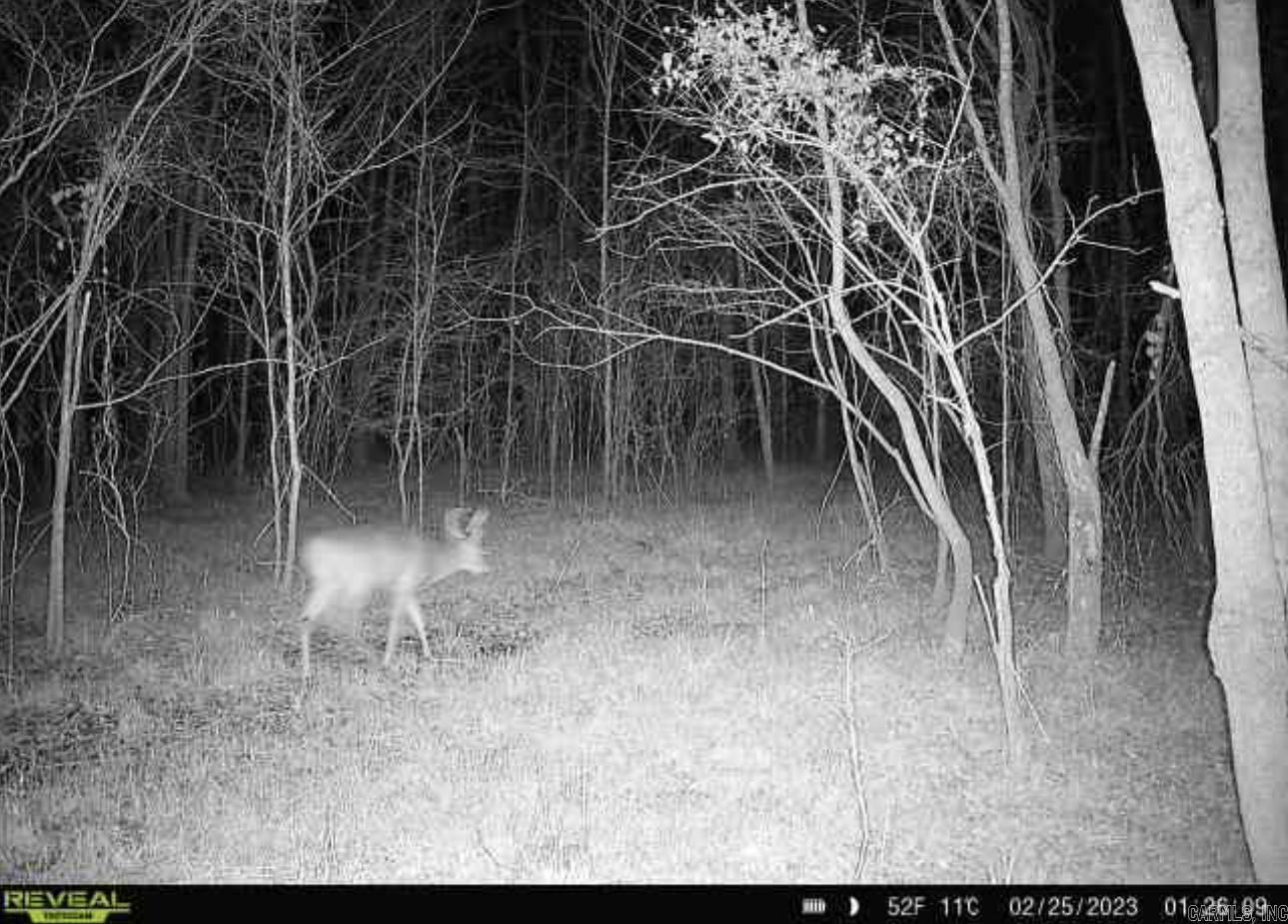 Tbd Janesville Rd. Property Photo 5